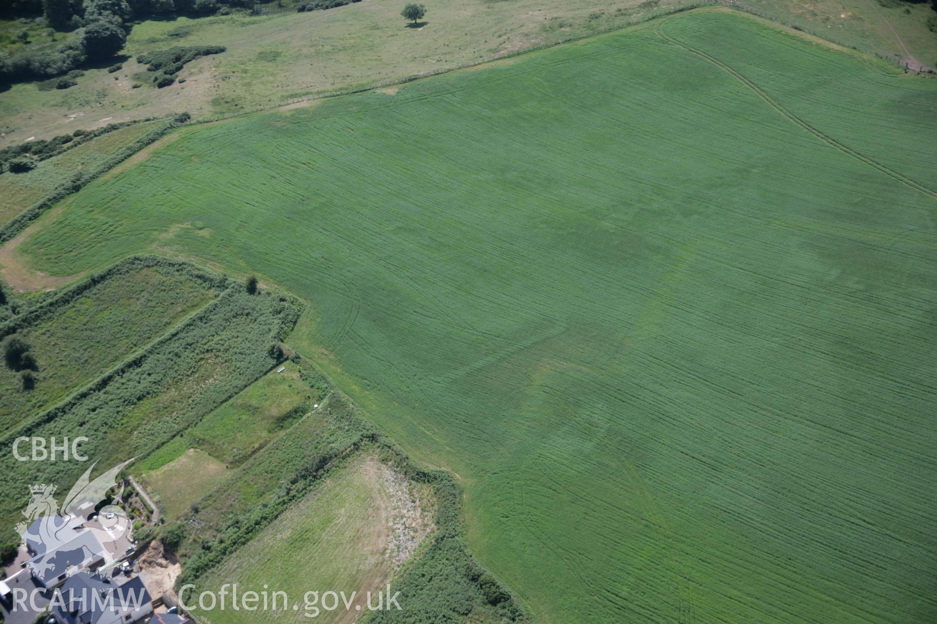 RCAHMW colour oblique aerial photograph of Penparc of emerging cropmark showing defended enclosure ditch. Taken on 23 June 2005 by Toby Driver