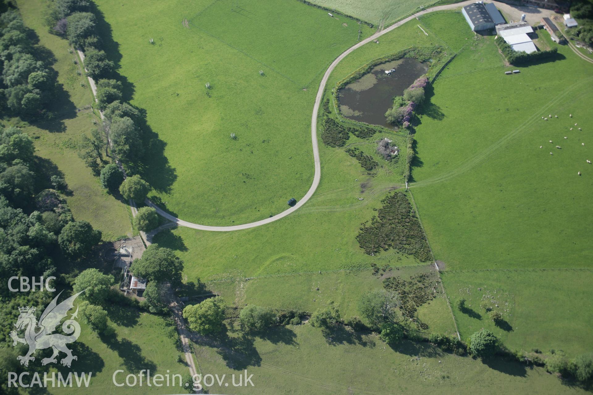 RCAHMW digital colour oblique photograph of oval earthwork enclosures possibly representing tree planting rings at Glynllifon. Taken on 08/06/2005 by T.G. Driver.