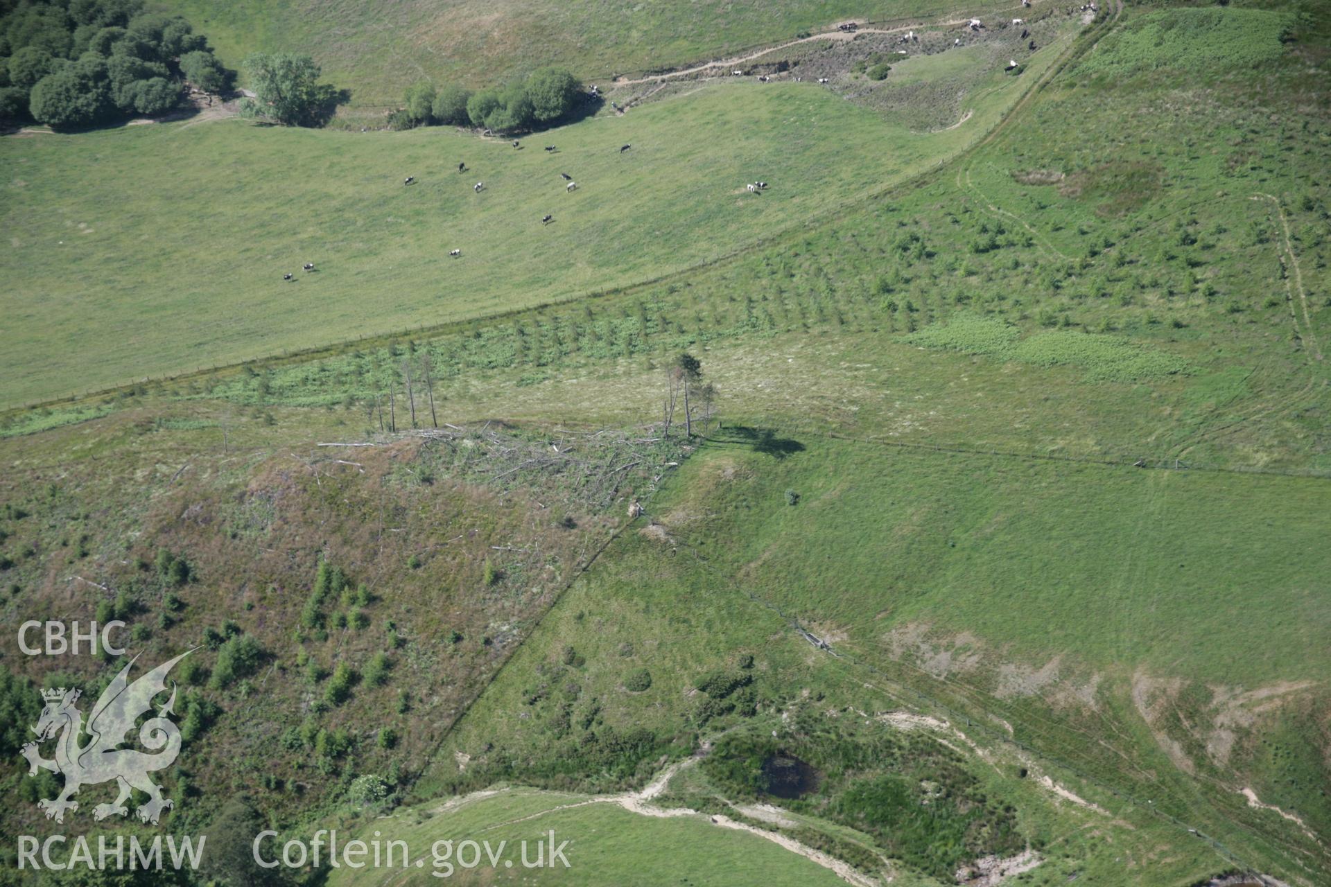 RCAHMW colour oblique aerial photograph of Coed Ty'n-y-Cwm from the south-east. This is the first time this site has been visible. Taken on 23 June 2005 by Toby Driver