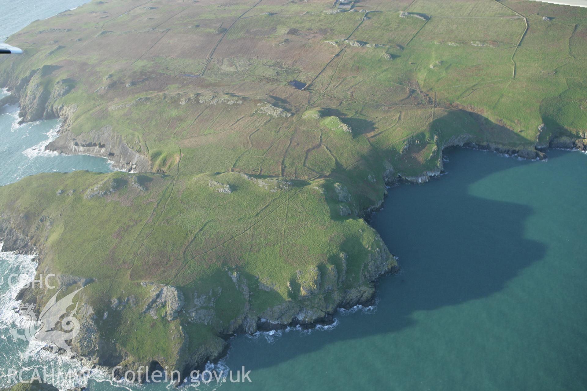 RCAHMW colour oblique photograph of Skomer Island, The Wick co-axial field systems, view from south. Taken by Toby Driver on 04/03/2008.