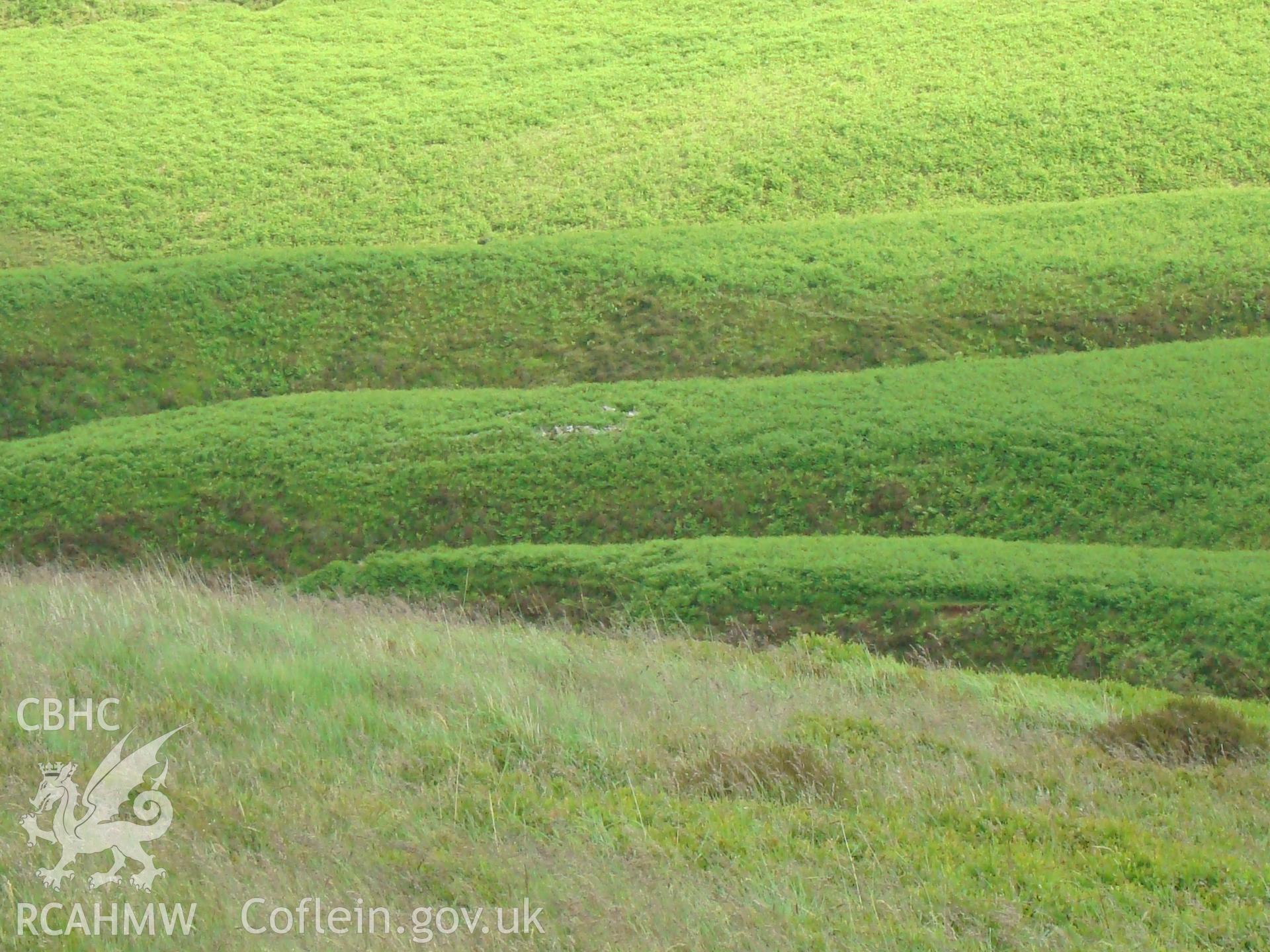 Digital colour photograph of Nant Tarthwynni sheep fold II taken on 19/06/2008 by R.P.Sambrook during the Brecon Beacons (east) Uplands Survey undertaken by Trysor.