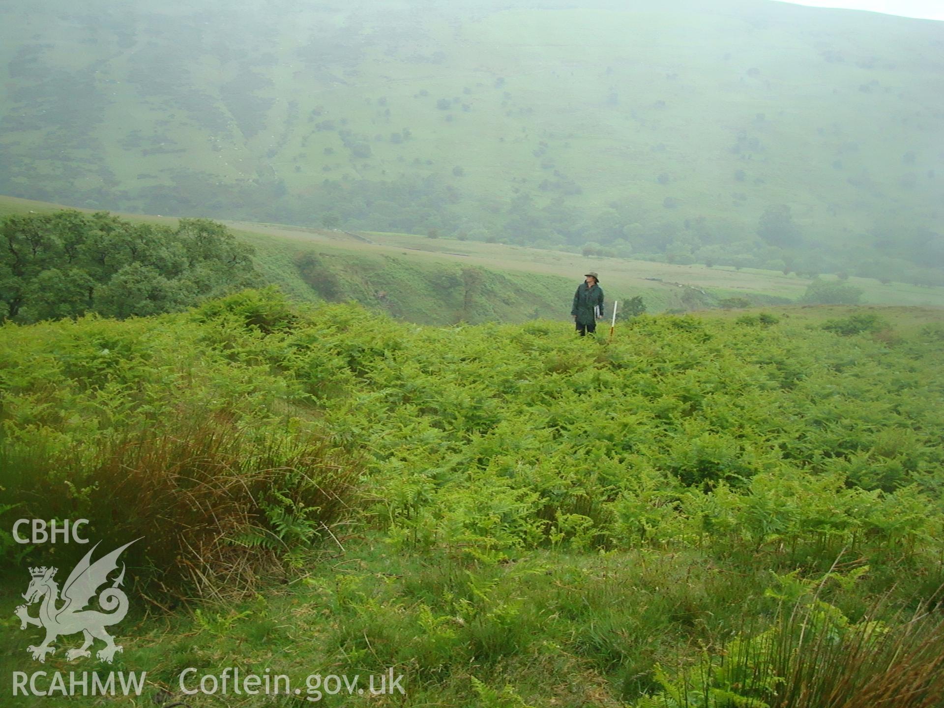 Digital colour photograph of Cwm Cwareli platform II taken on 17/06/2008 by R.P.Sambrook during the Brecon Beacons (east) Uplands Survey undertaken by Trysor.