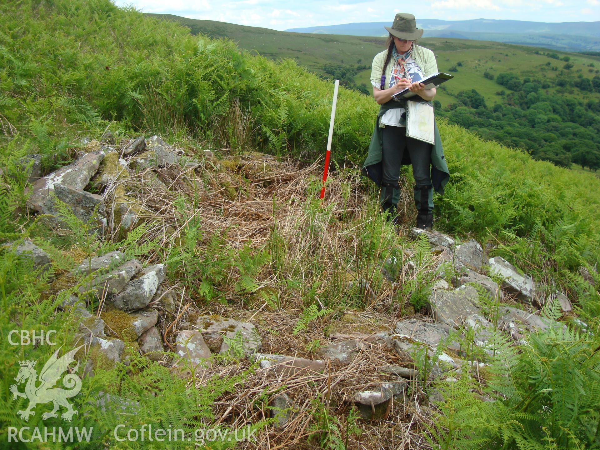 Digital colour photograph of Blaen Cwm Banw shelter taken on 16/06/2008 by R.P.Sambrook during the Brecon Beacons (east) Uplands Survey undertaken by Trysor.