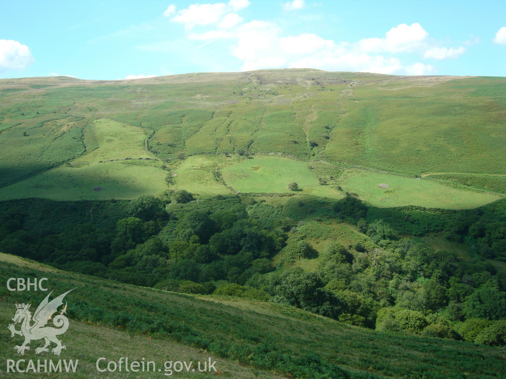 Digital colour photograph of Nant Tarthwynni field system taken on 27/07/2008 by R.P.Sambrook during the Brecon Beacons (east) Uplands Survey undertaken by Trysor.