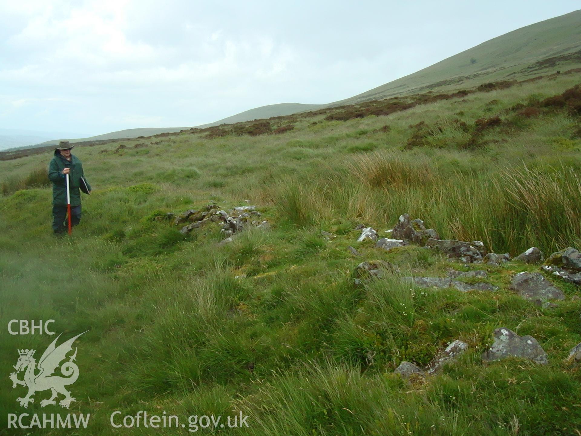 Digital colour photograph of Cwm Cwareli Field System I taken on 17/06/2008 by R.P.Sambrook during the Brecon Beacons (east) Uplands Survey undertaken by Trysor.