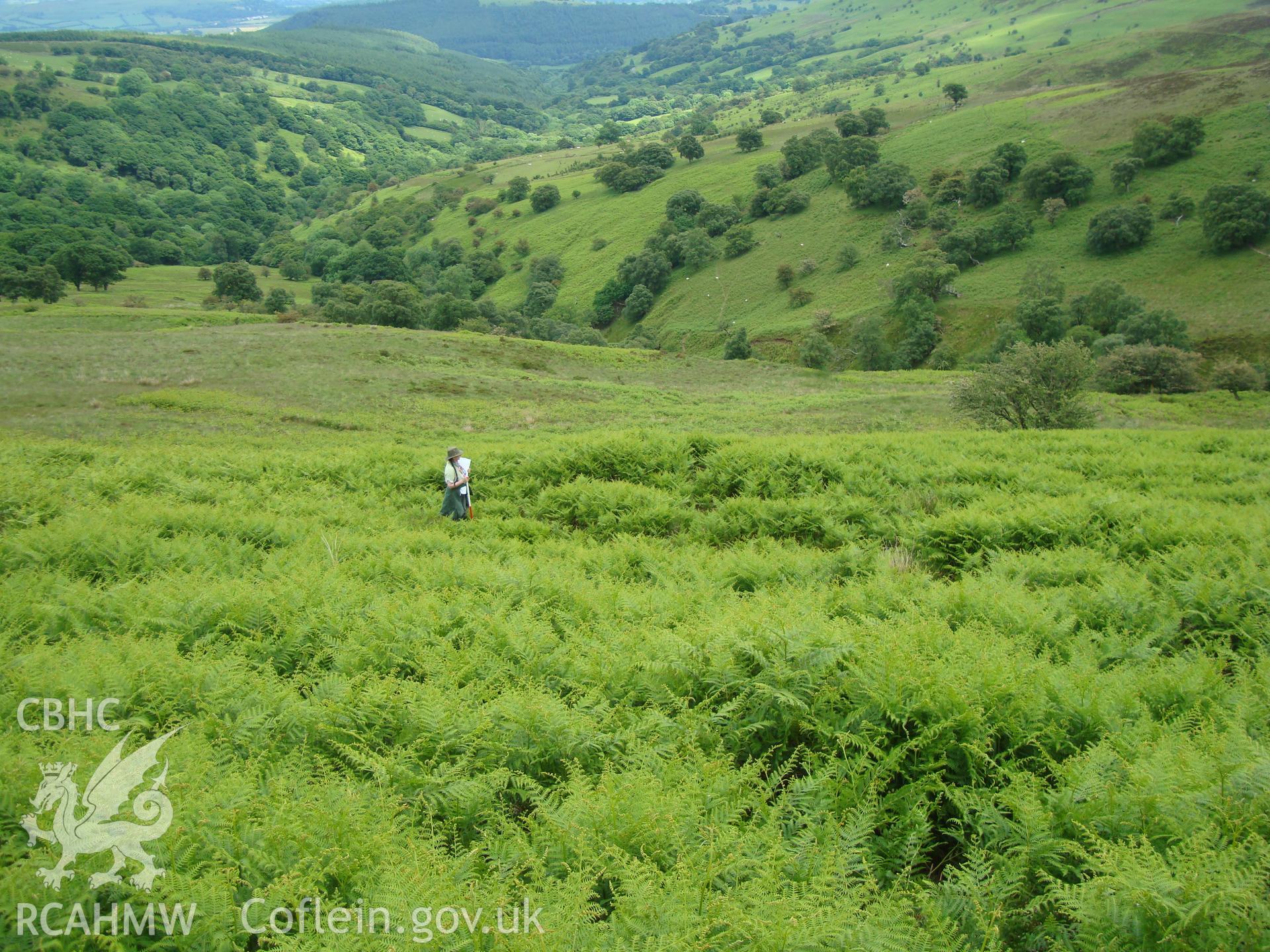 Digital colour photograph of Blaen Cwm Banw platform I taken on 16/06/2008 by R.P.Sambrook during the Brecon Beacons (east) Uplands Survey undertaken by Trysor.