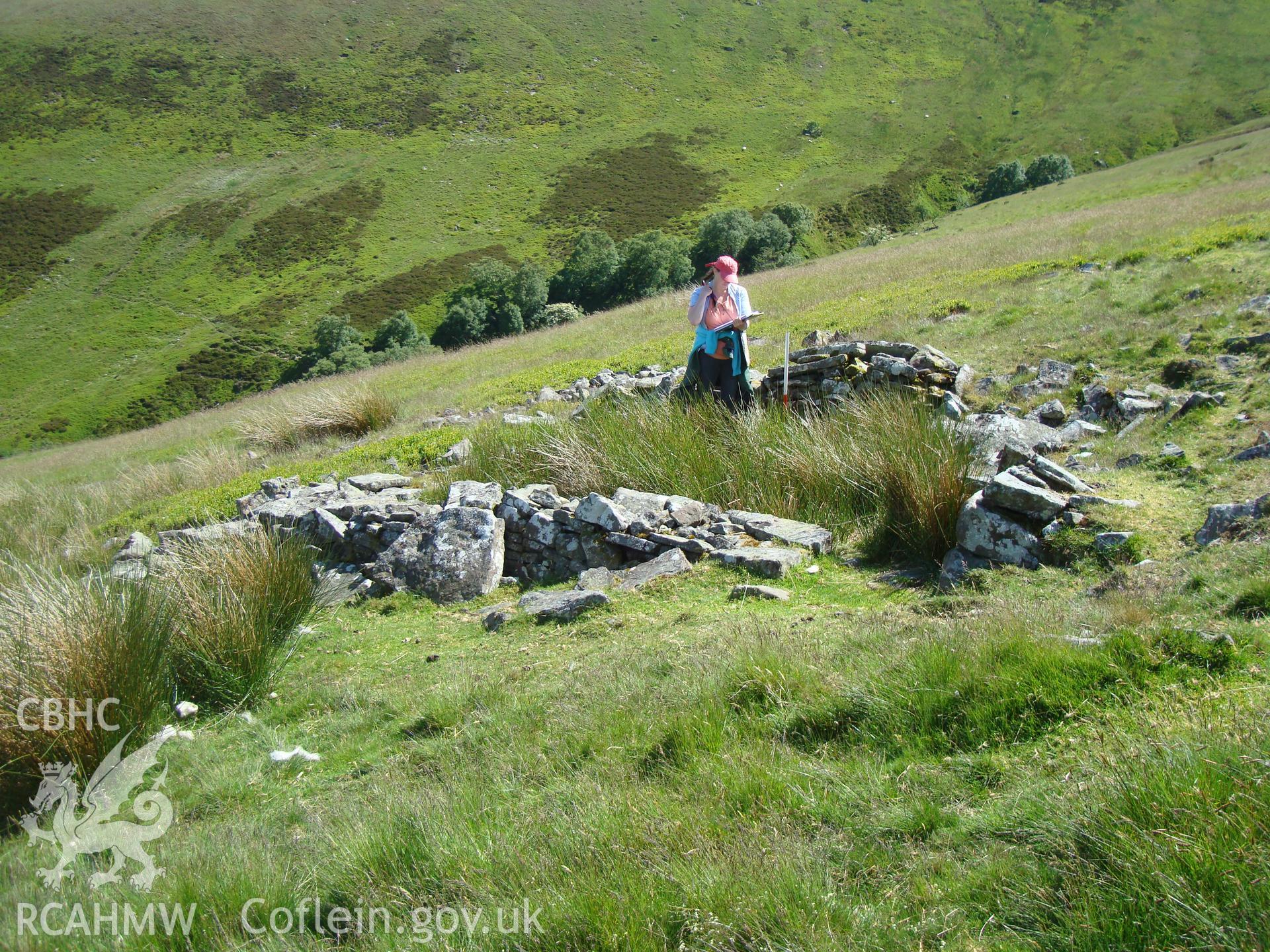 Digital colour photograph of Blaen Cwm Banw long hut taken on 15/06/2008 by R.P.Sambrook during the Brecon Beacons (east) Uplands Survey undertaken by Trysor.