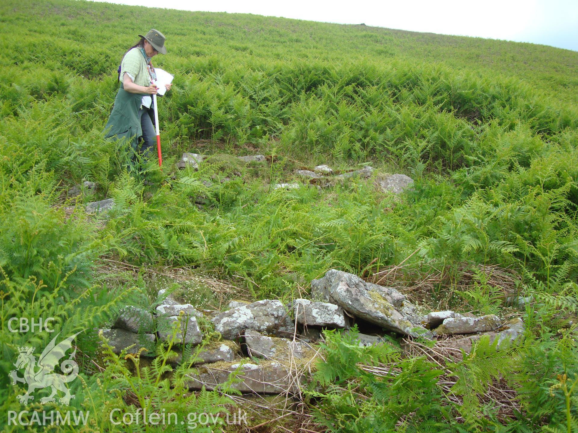 Digital colour photograph of Blaen Cwm Banw shelter taken on 16/06/2008 by R.P.Sambrook during the Brecon Beacons (east) Uplands Survey undertaken by Trysor.