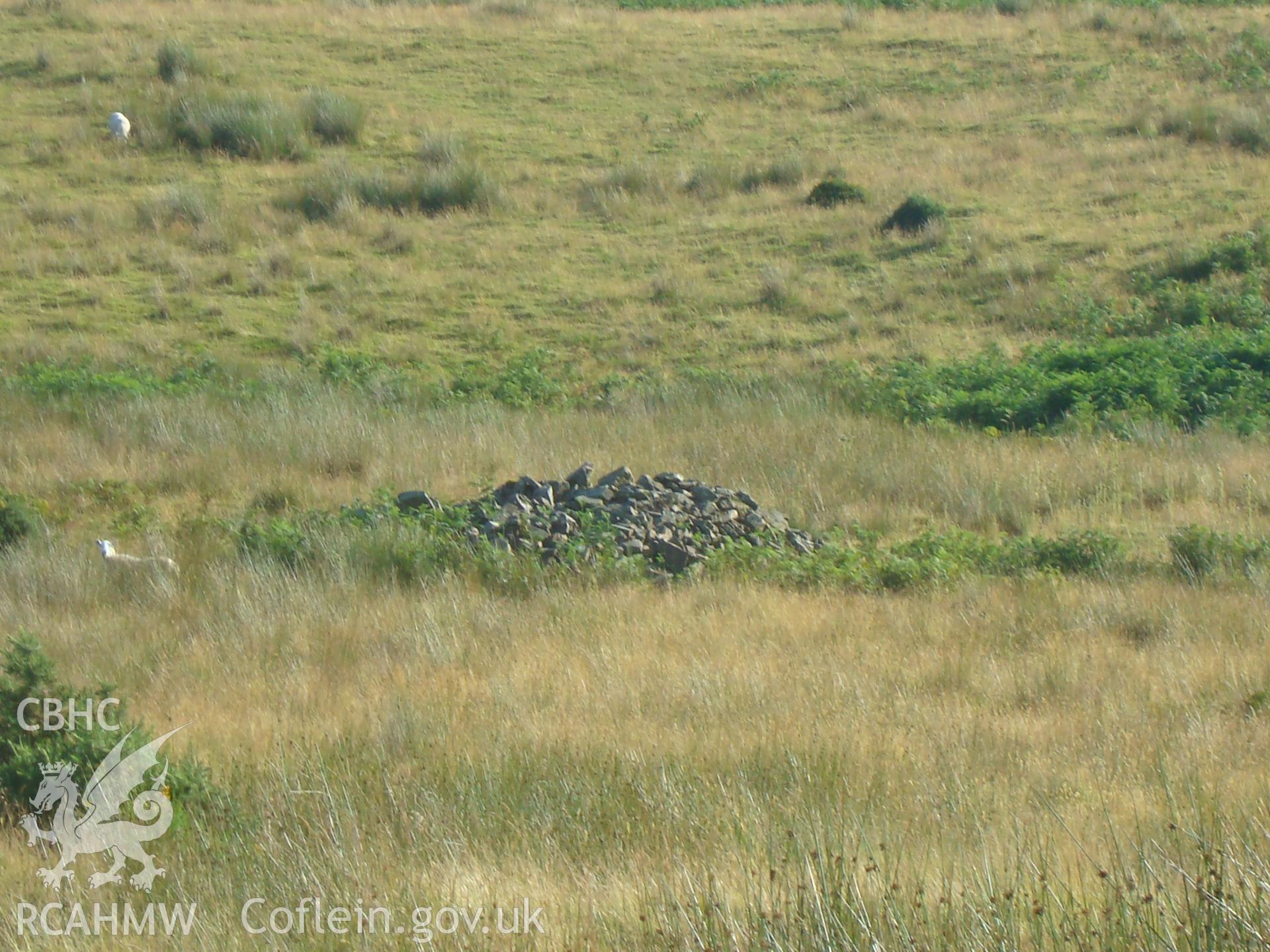 Digital colour photograph of Nant Tarthwynni stone pile IV taken on 27/07/2008 by R.P.Sambrook during the Brecon Beacons (east) Uplands Survey undertaken by Trysor.