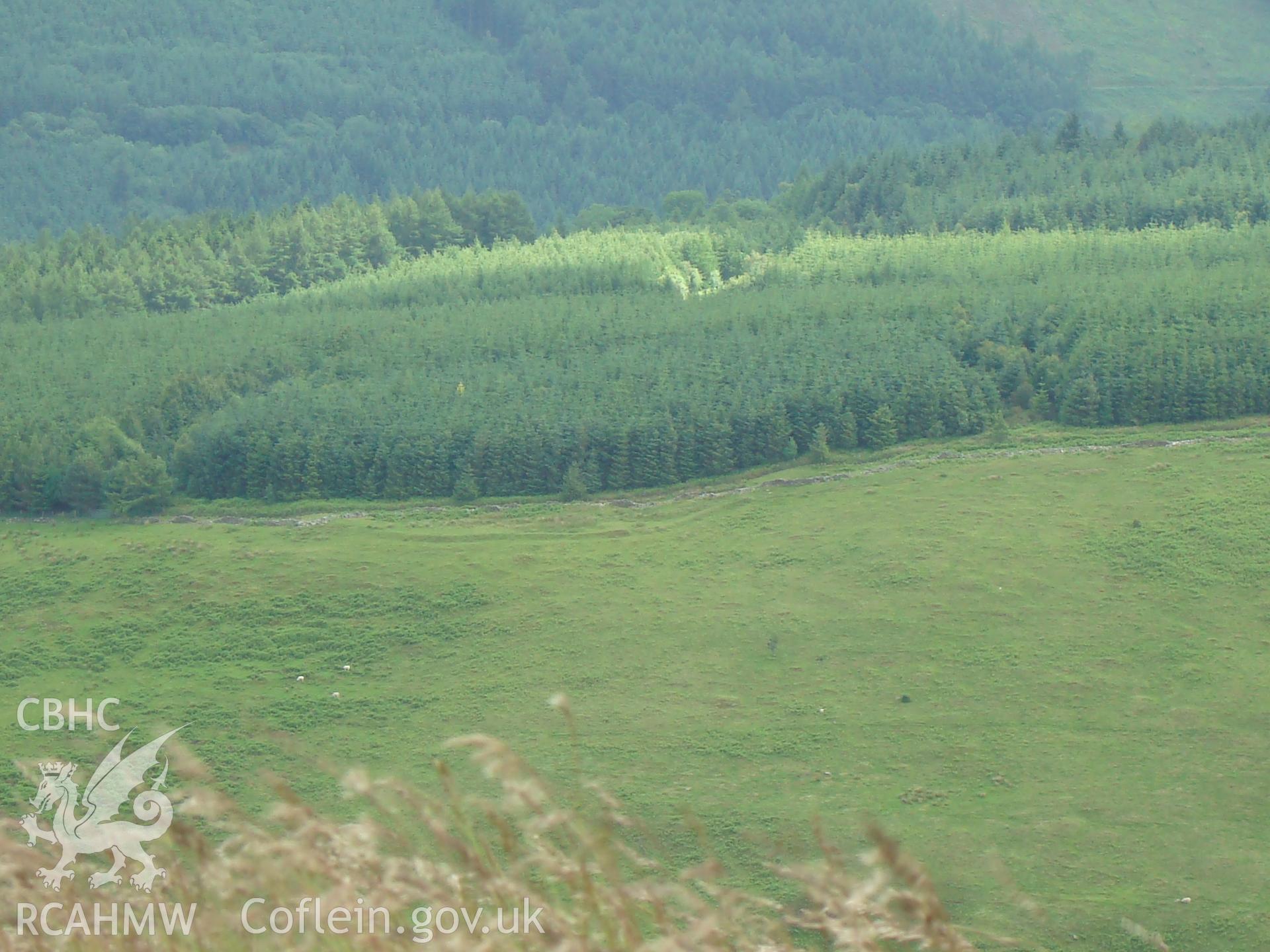 Digital colour photograph of Nant Tarthwynni east enclosure taken on 19/06/2008 by R.P.Sambrook during the Brecon Beacons (east) Uplands Survey undertaken by Trysor.