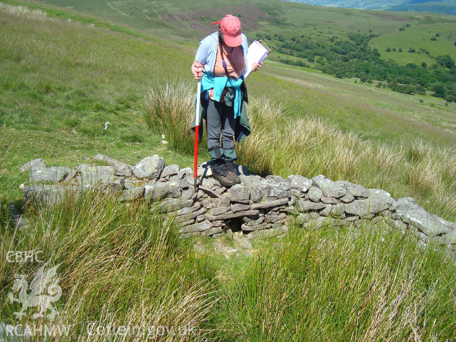 Digital colour photograph of Blaen Cwm Banw long hut taken on 15/06/2008 by R.P.Sambrook during the Brecon Beacons (east) Uplands Survey undertaken by Trysor.