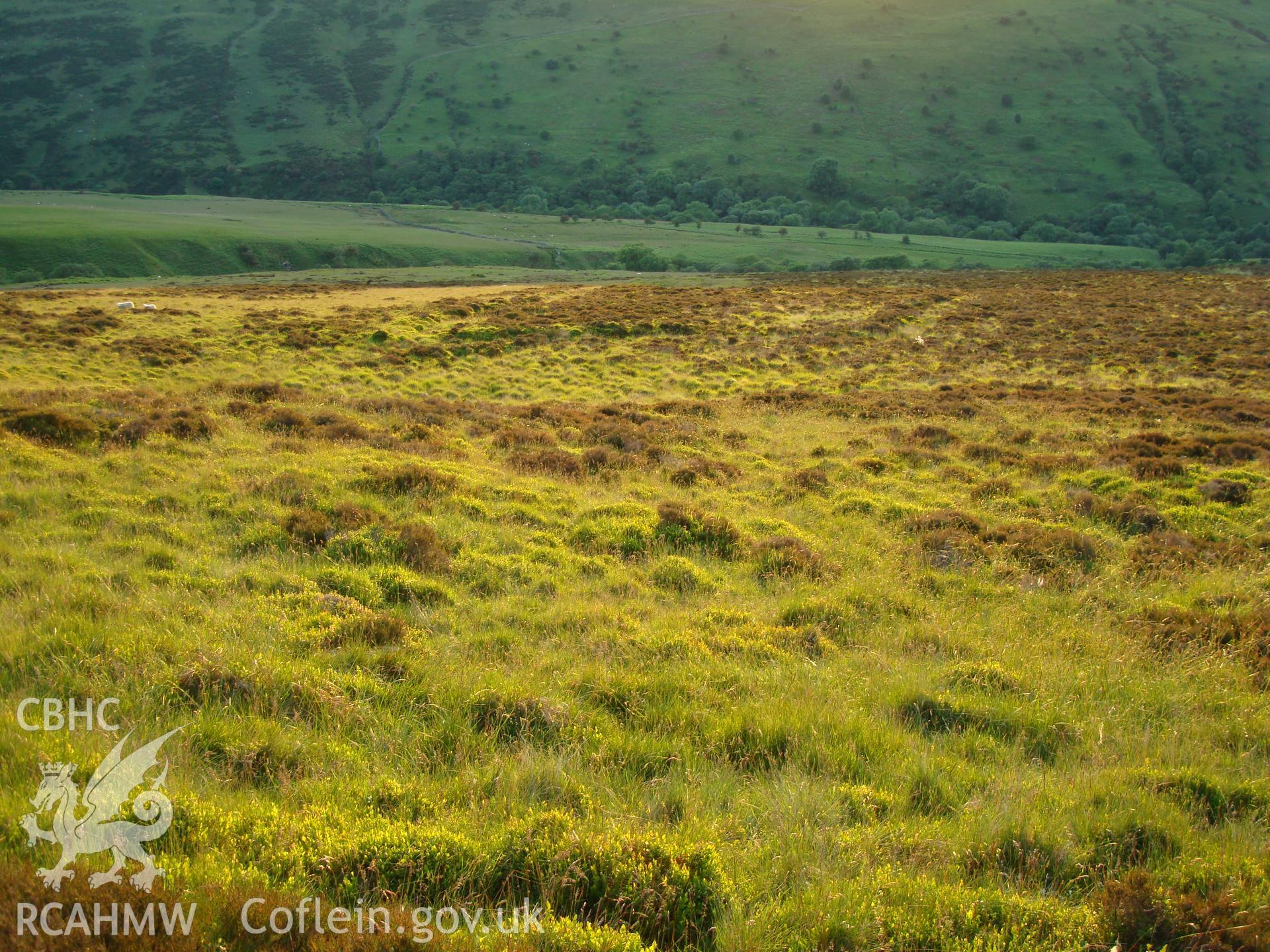 Digital colour photograph of Cwm Cwareli enclosure I taken on 16/06/2008 by R.P.Sambrook during the Brecon Beacons (east) Uplands Survey undertaken by Trysor.