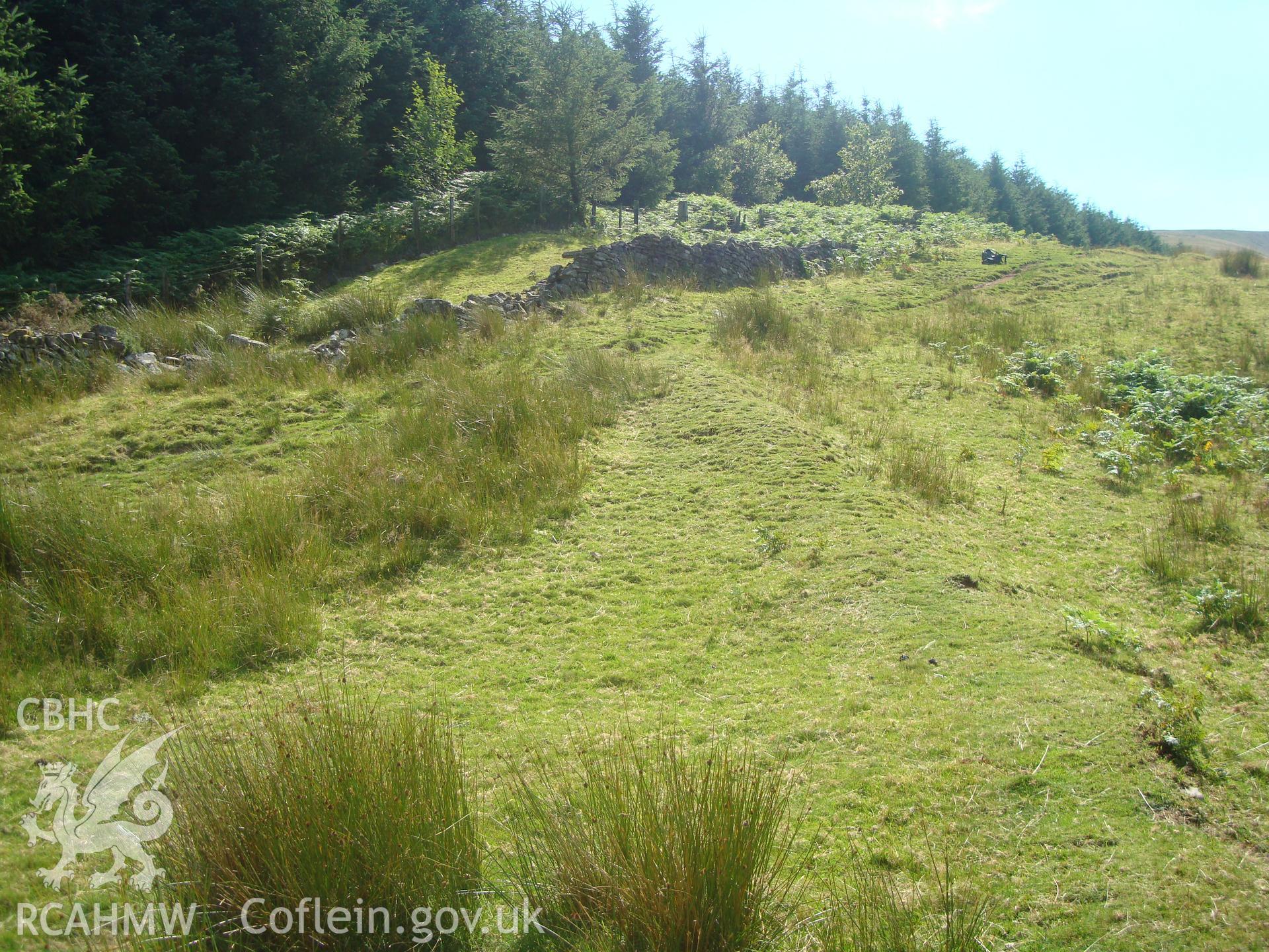 Digital colour photograph of Nant Tarthwynni east enclosure taken on 27/07/2008 by R.P.Sambrook during the Brecon Beacons (east) Uplands Survey undertaken by Trysor.