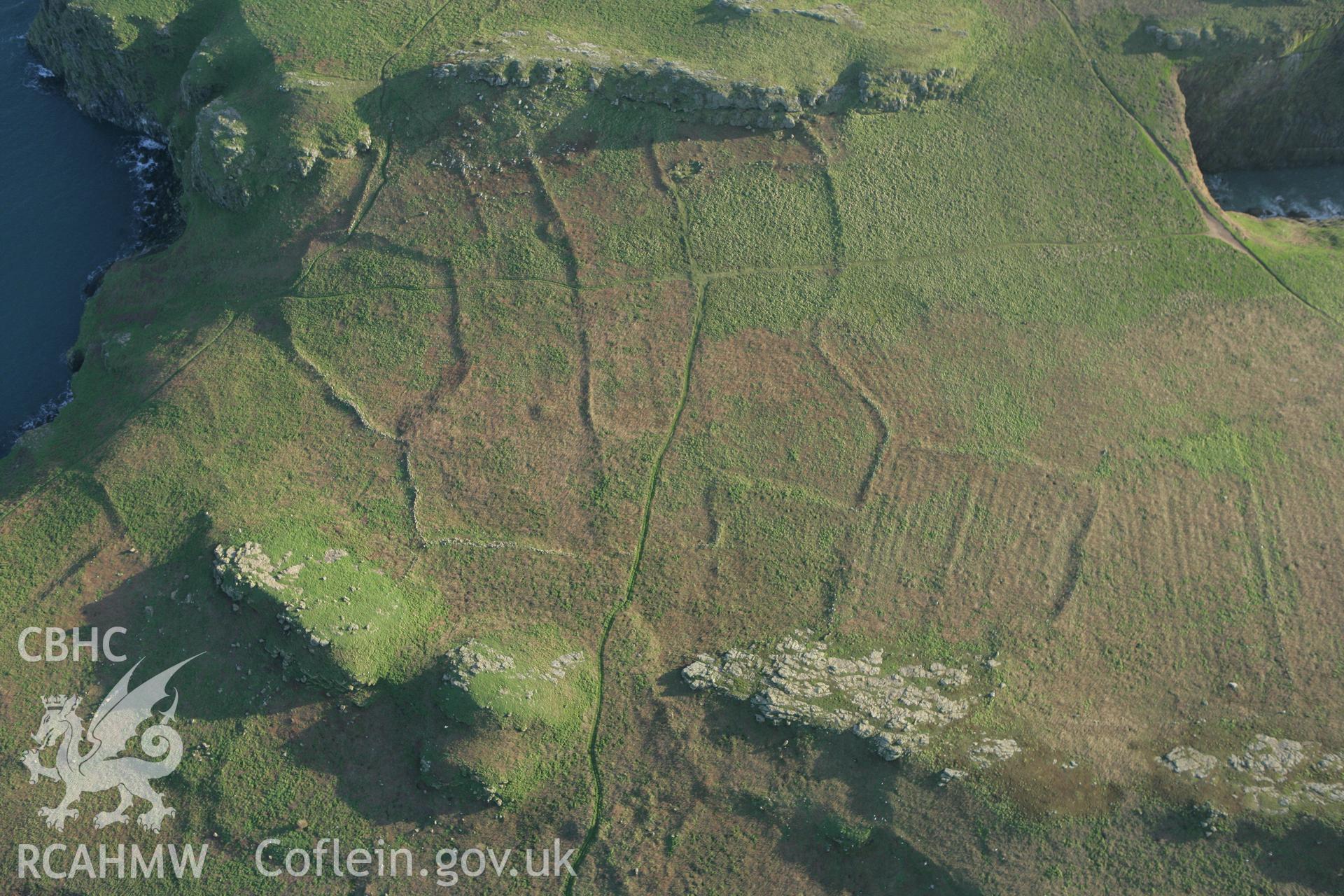 RCAHMW colour oblique photograph of Skomer Island, The Wick settlement and field systems, view from north. Taken by Toby Driver on 04/03/2008.