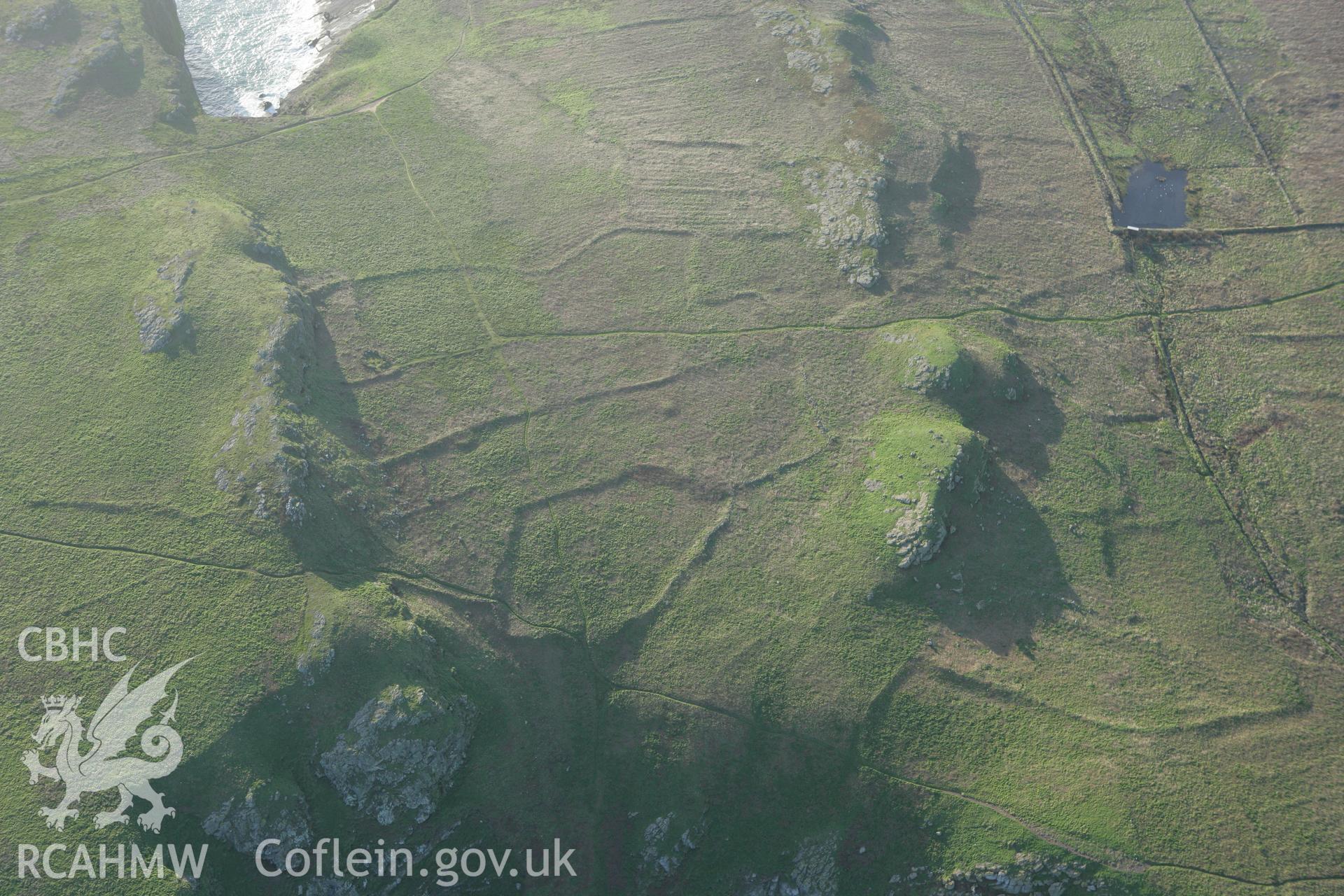 RCAHMW colour oblique photograph of Skomer Island, The Wick settlement and field systems. Taken by Toby Driver on 04/03/2008.