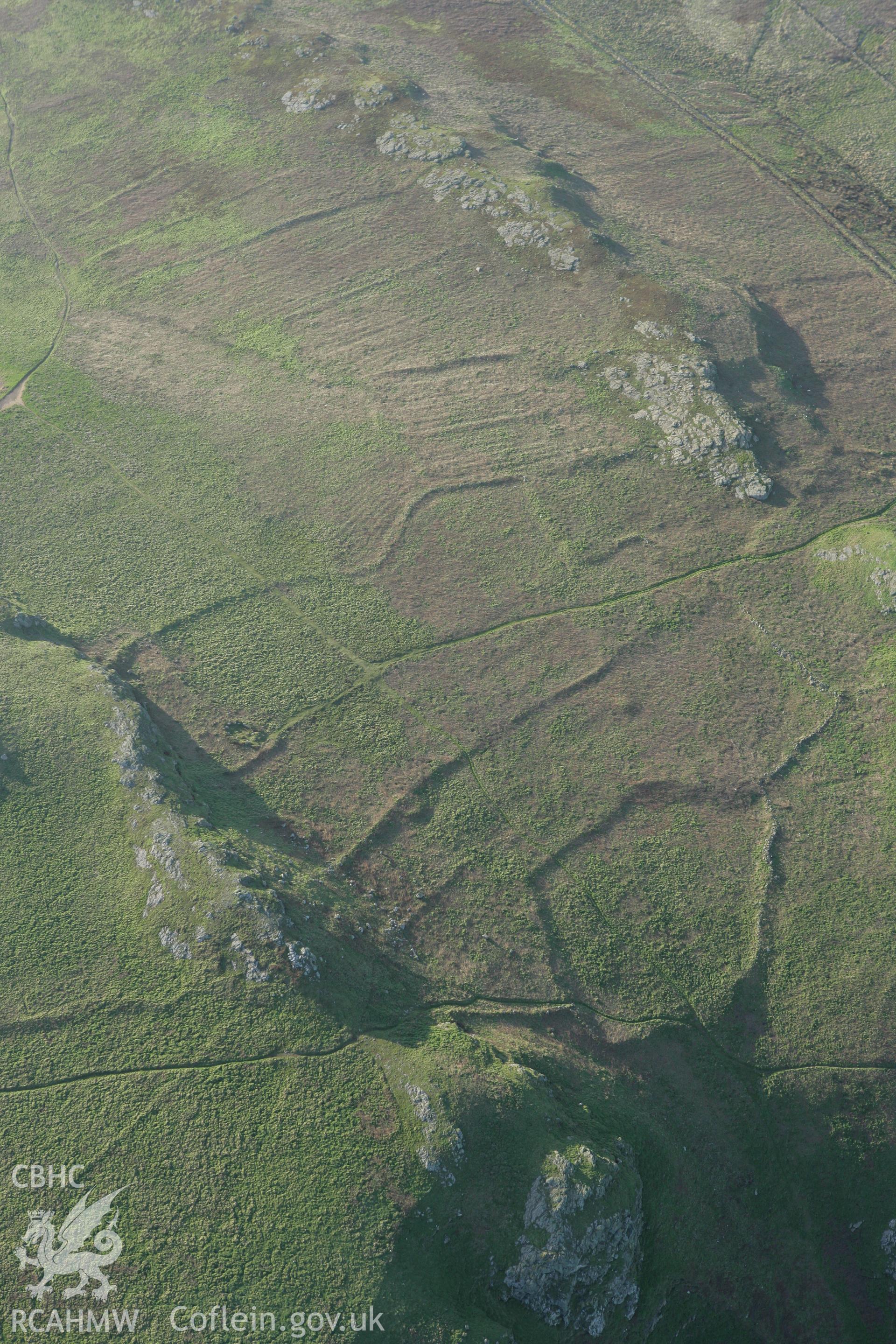 RCAHMW colour oblique photograph of Skomer Island, The Wick settlement and field systems. Taken by Toby Driver on 04/03/2008.