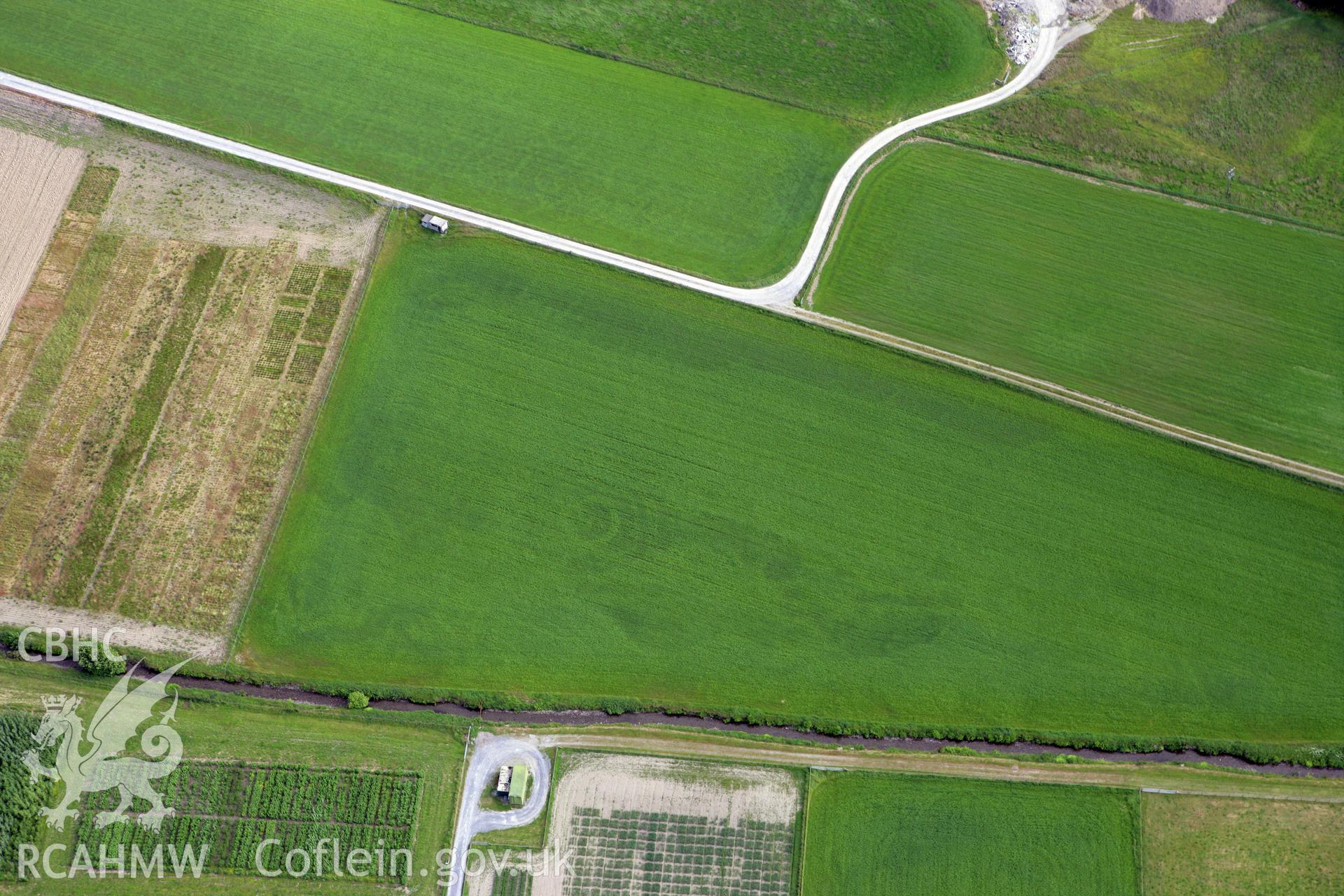 RCAHMW colour oblique photograph of Gogerddan Round Barrow. Taken by Toby Driver on 13/06/2008.