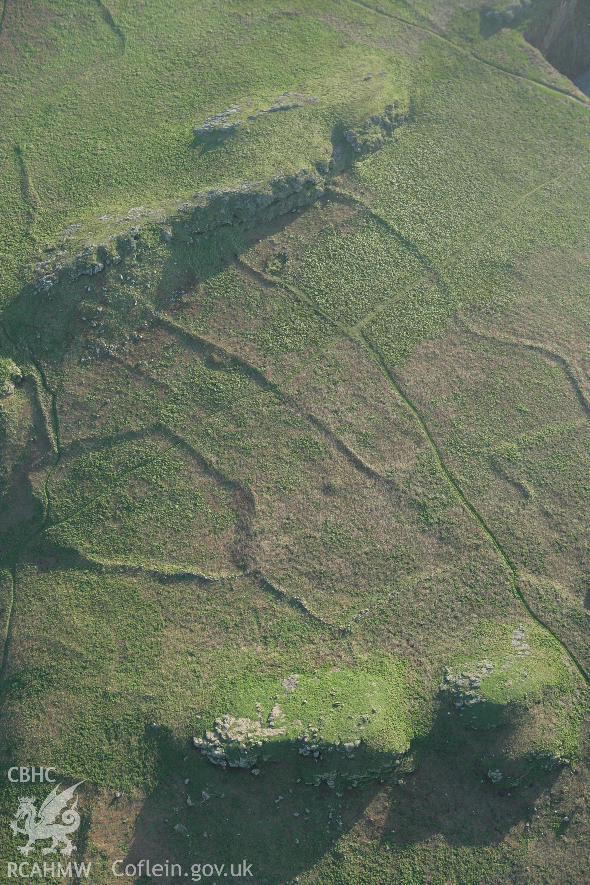 RCAHMW colour oblique photograph of Skomer Island, The Wick settlement and field systems, view from north-east. Taken by Toby Driver on 04/03/2008.