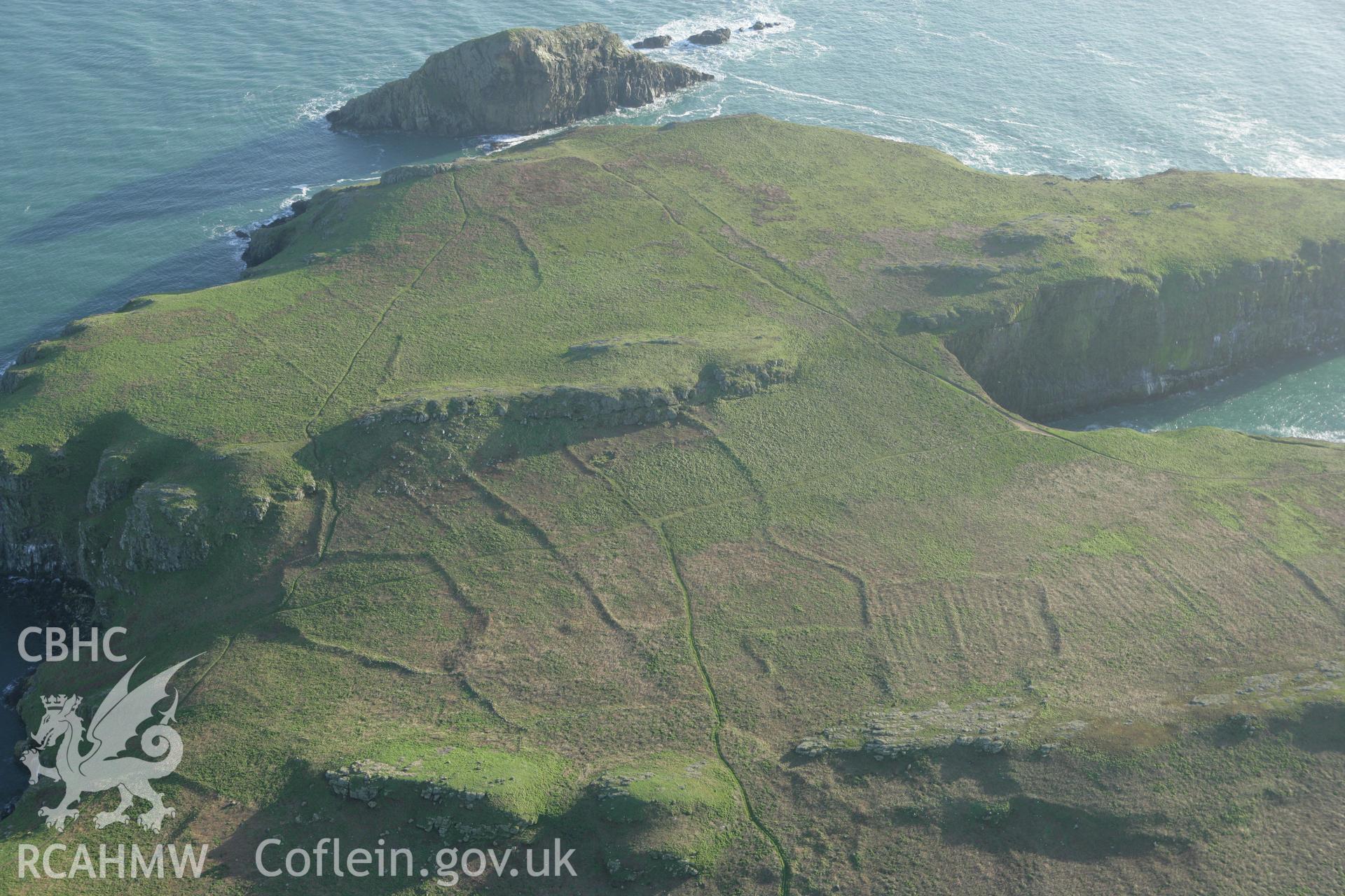 RCAHMW colour oblique photograph of Skomer Island, The Wick settlement and field systems, view from north. Taken by Toby Driver on 04/03/2008.