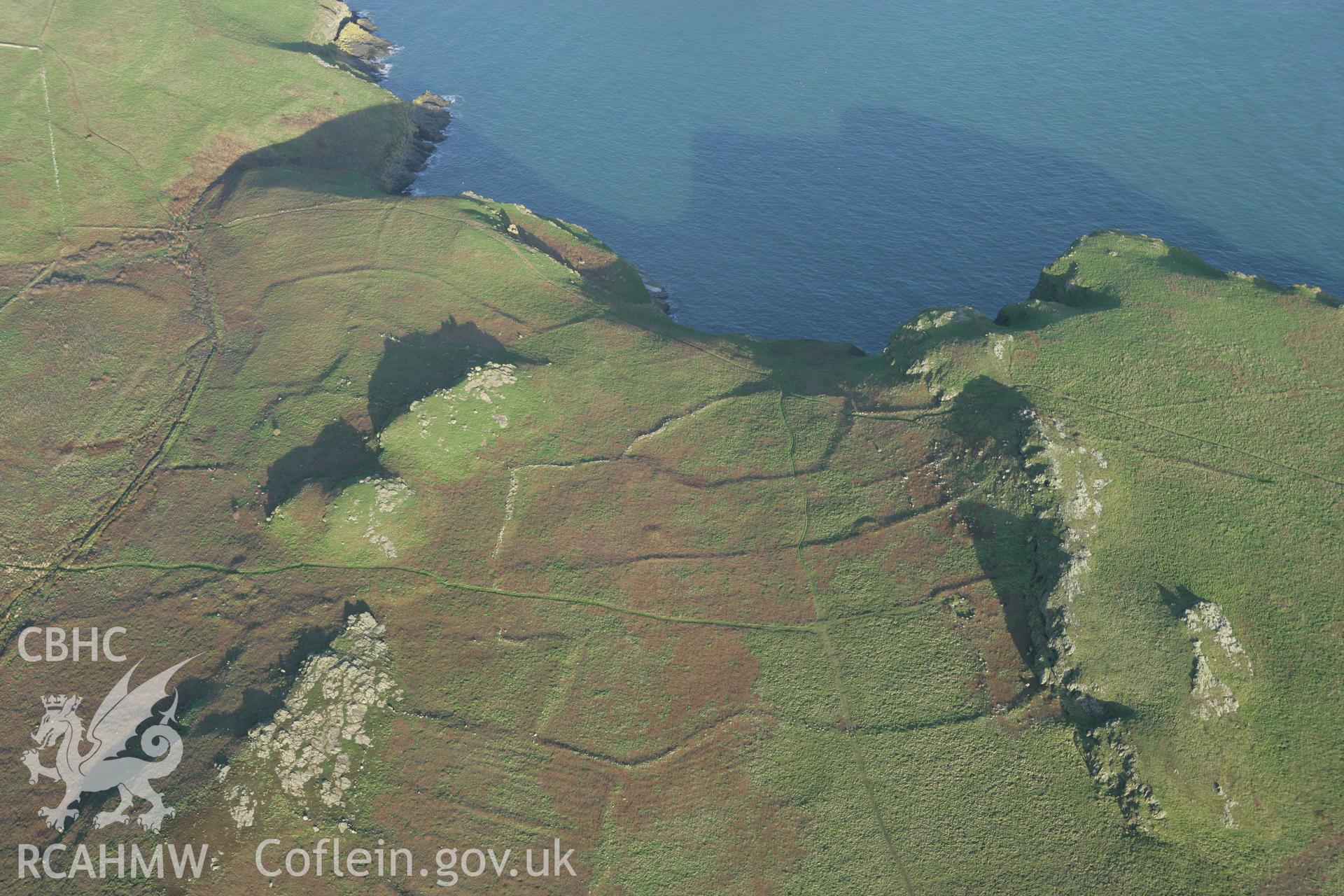 RCAHMW colour oblique photograph of Skomer Island, The Wick settlement and field systems, view from west. Taken by Toby Driver on 04/03/2008.