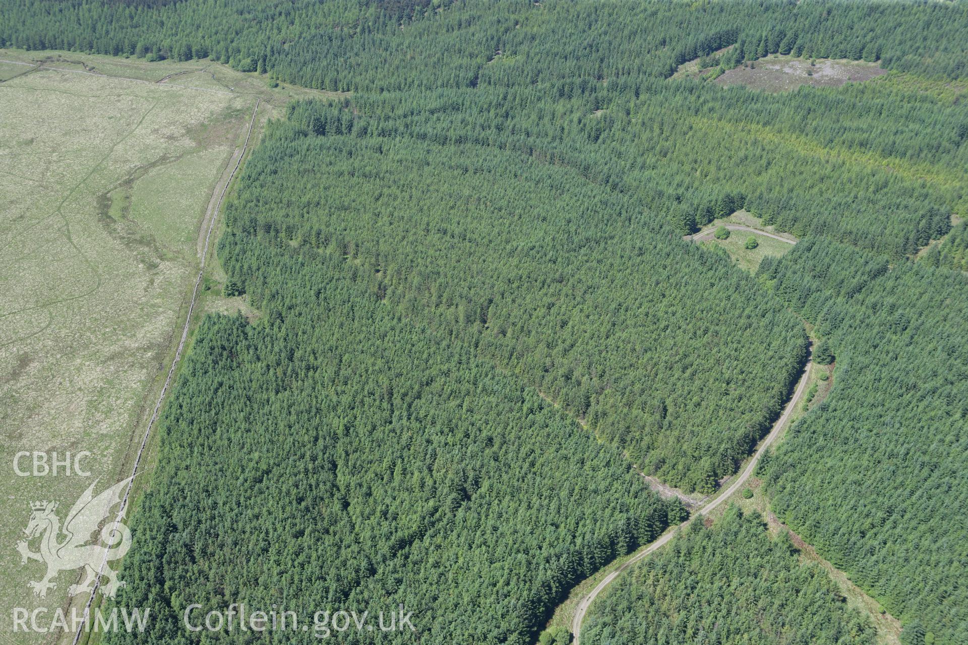 RCAHMW colour oblique photograph of Pillow Mounds at Pant Mawr (under forestry). Taken by Toby Driver on 09/06/2008.