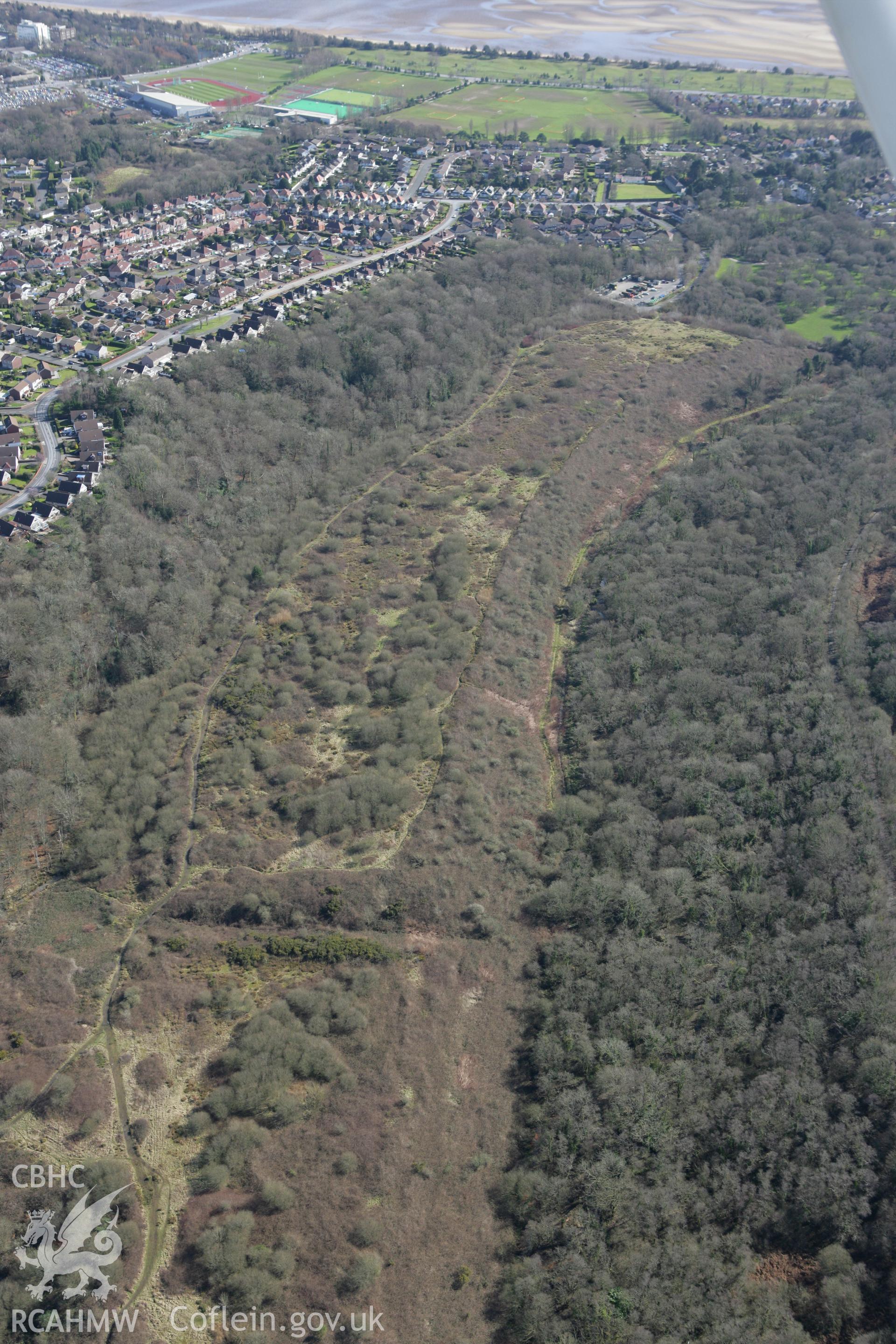 RCAHMW colour oblique photograph of Ynys Pit and Leat, Mill Wood, Sketty, Swansea. Taken by Toby Driver on 04/03/2008.