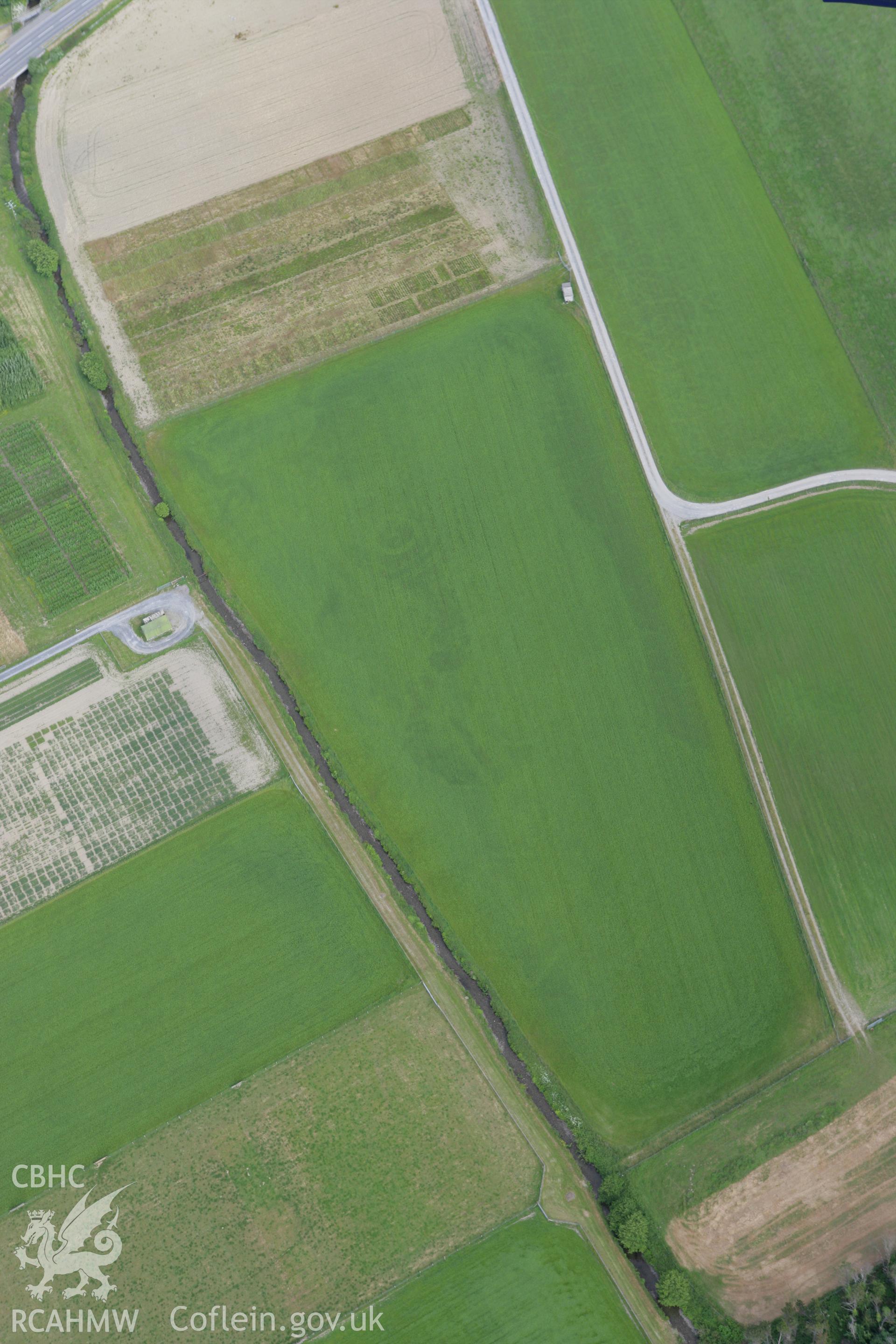 RCAHMW colour oblique photograph of Gogerddan Round Barrow. Taken by Toby Driver on 13/06/2008.