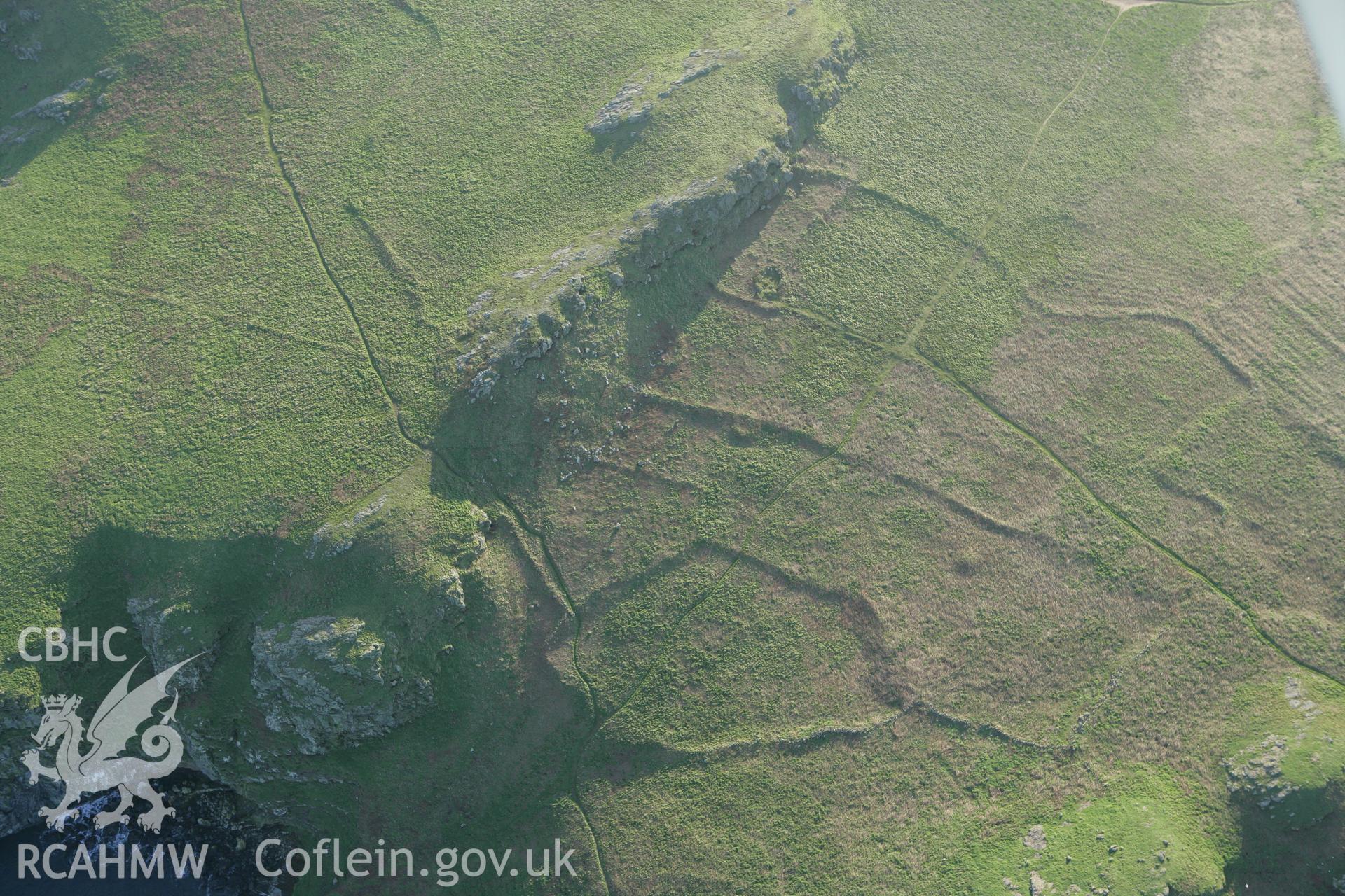 RCAHMW colour oblique photograph of Skomer Island, The Wick settlement and field systems, view from north-east. Taken by Toby Driver on 04/03/2008.