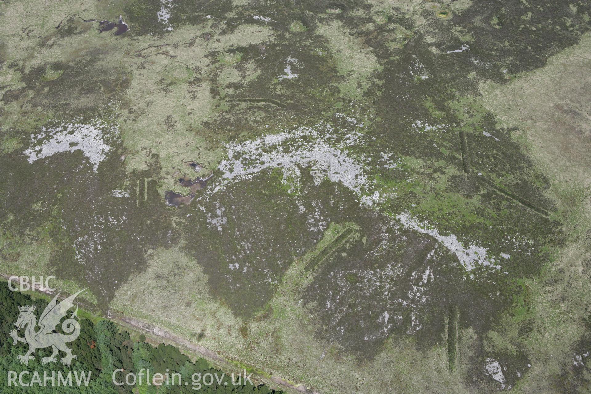 RCAHMW colour oblique photograph of Pillow Mounds, Pant Mawr. Taken by Toby Driver on 09/06/2008.