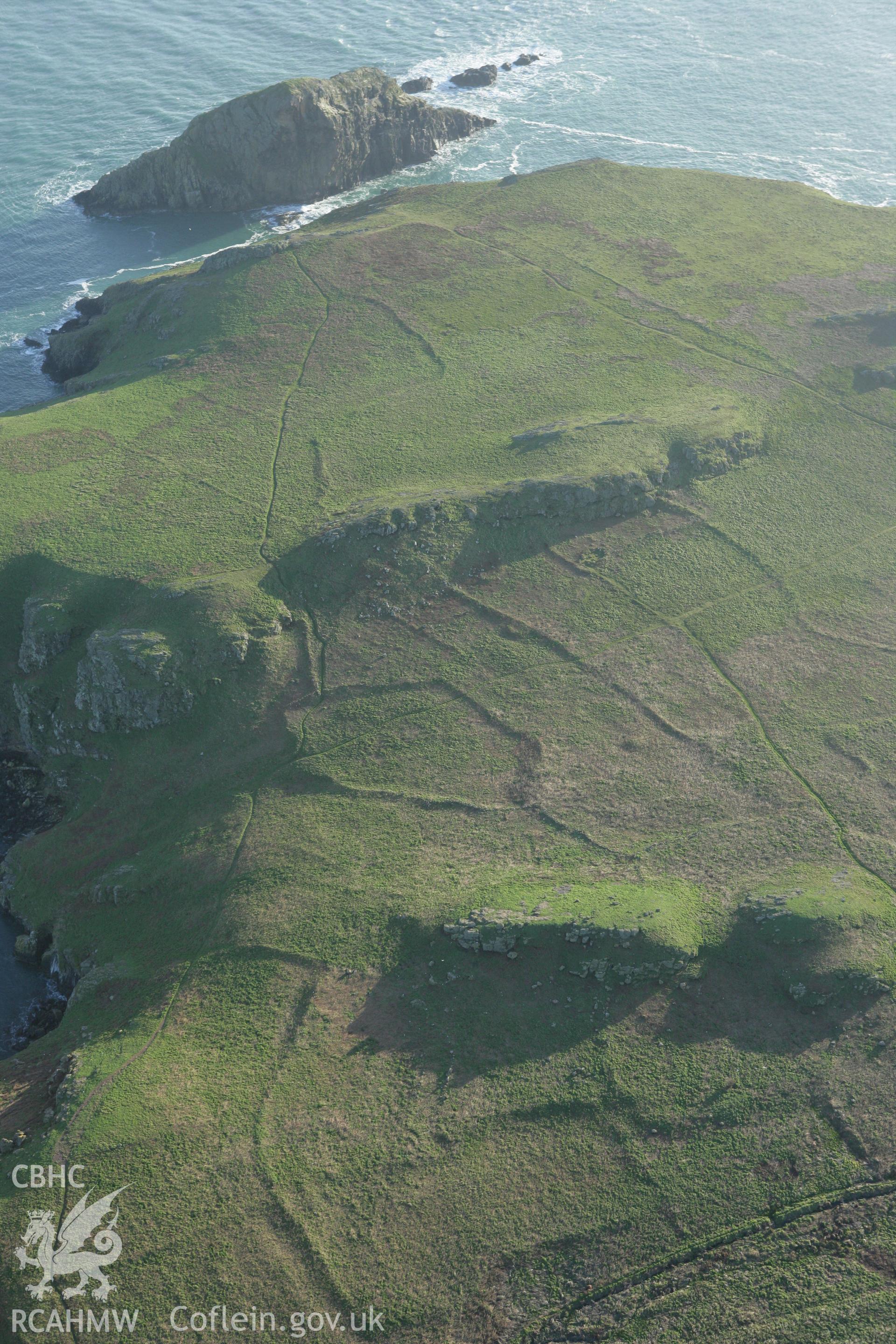 RCAHMW colour oblique photograph of Skomer Island, The Wick settlement and field systems, view from north-east. Taken by Toby Driver on 04/03/2008.