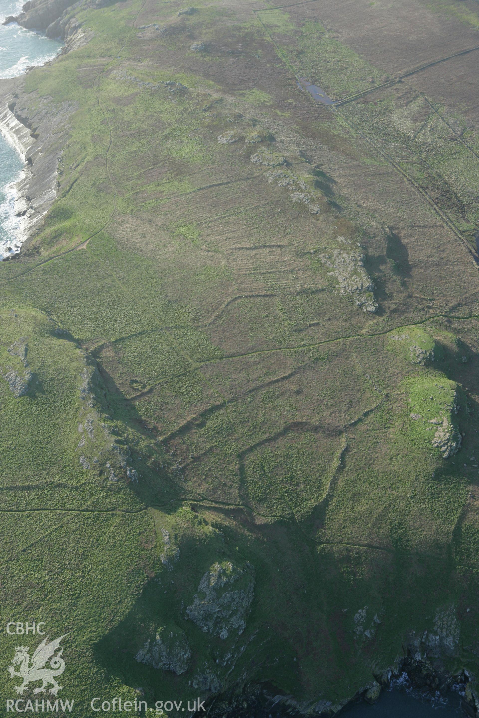 RCAHMW colour oblique photograph of Skomer Island, The Wick settlement and field systems. Taken by Toby Driver on 04/03/2008.