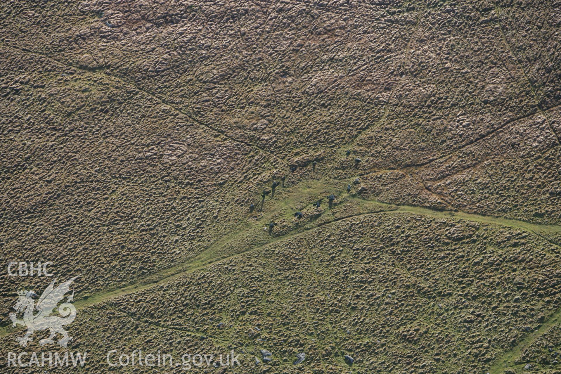 RCAHMW colour oblique photograph of Bedd Arthur. Taken by Toby Driver on 15/12/2008.