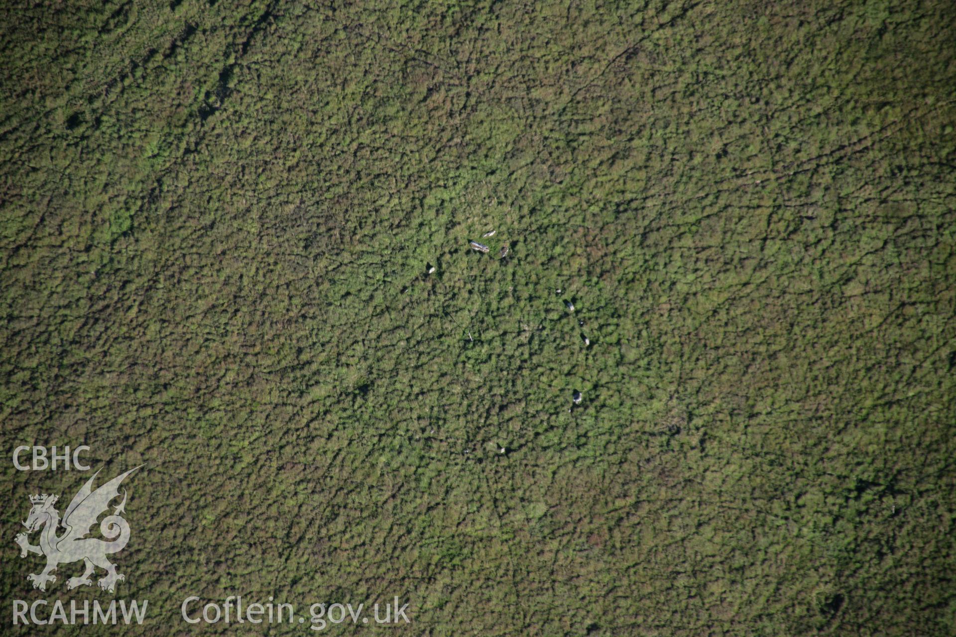 RCAHMW colour oblique aerial photograph of a stone circle west of Ynyshir. Taken on 08 August 2007 by Toby Driver