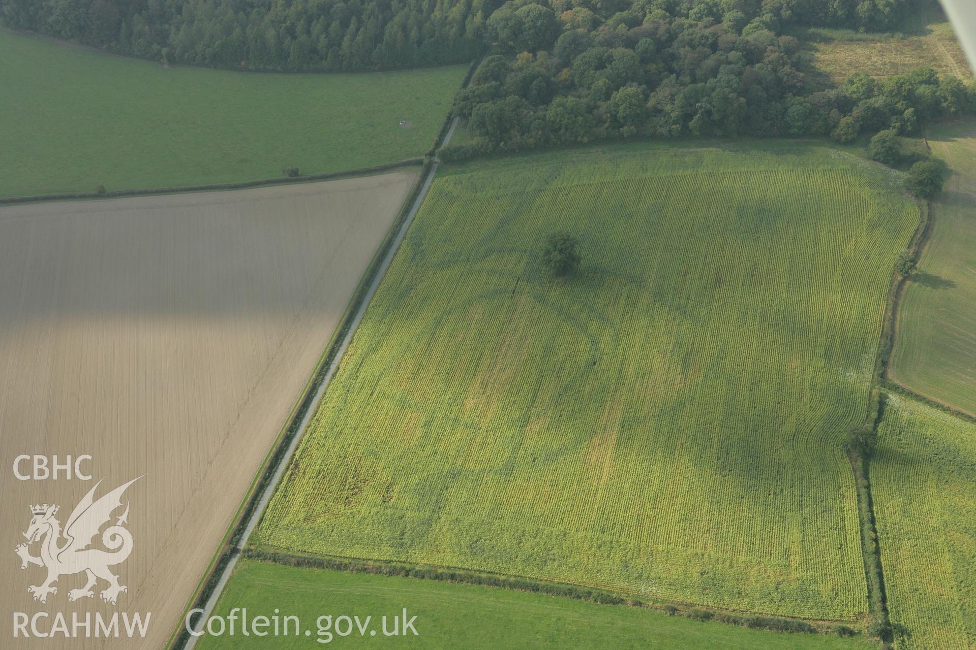 RCAHMW colour oblique photograph of Lymore Park, defended enclosure cropmark, in ENGLAND. Taken by Toby Driver on 08/10/2007.