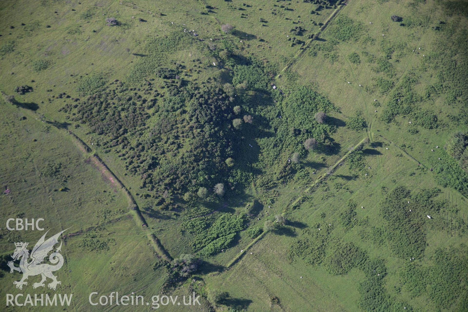 RCAHMW colour oblique aerial photograph of Ynys Hir South,Tir Cyd deserted rural settlement. Taken on 08 August 2007 by Toby Driver