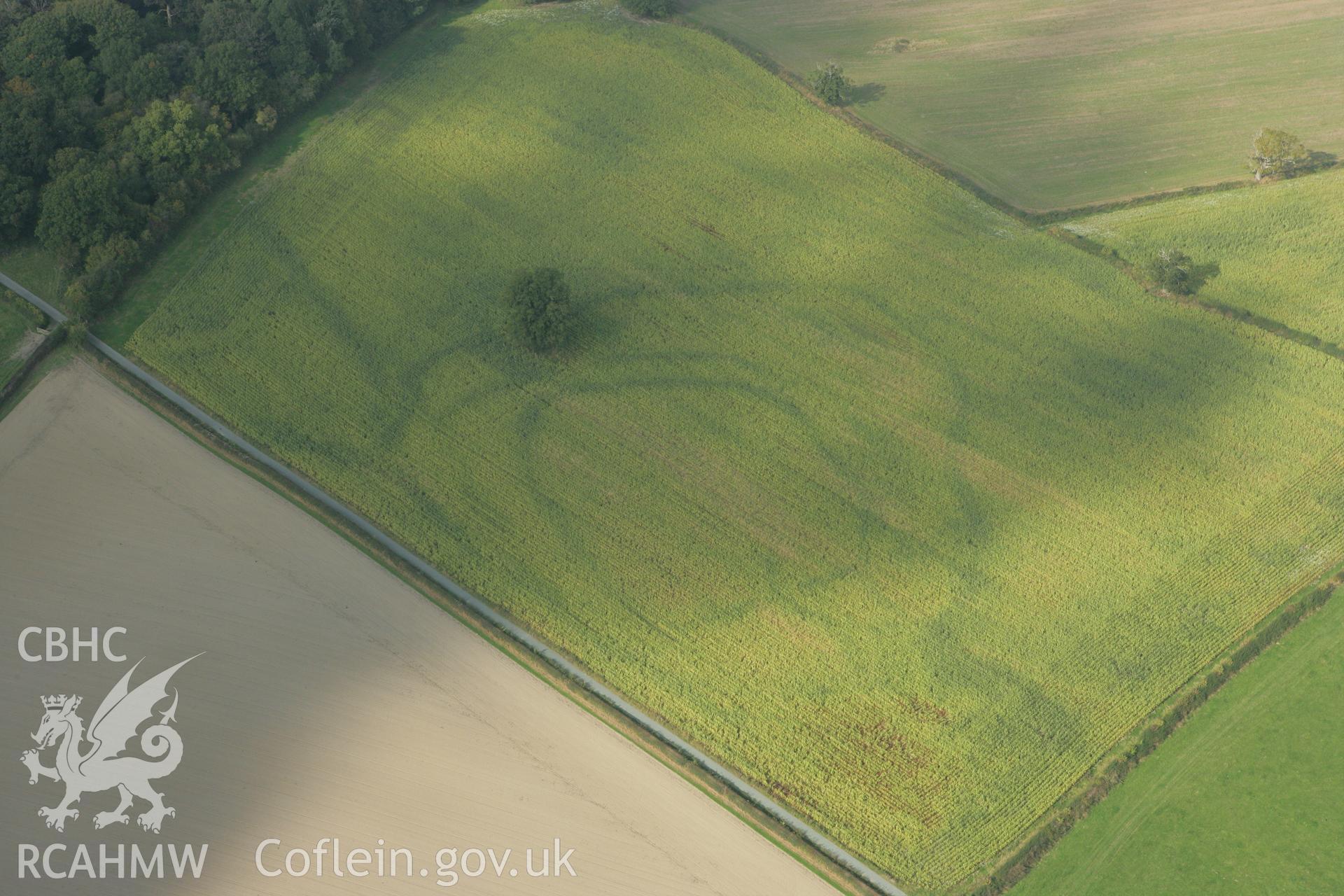 RCAHMW colour oblique photograph of Lymore Park, defended enclosure cropmark, in ENGLAND. Taken by Toby Driver on 08/10/2007.