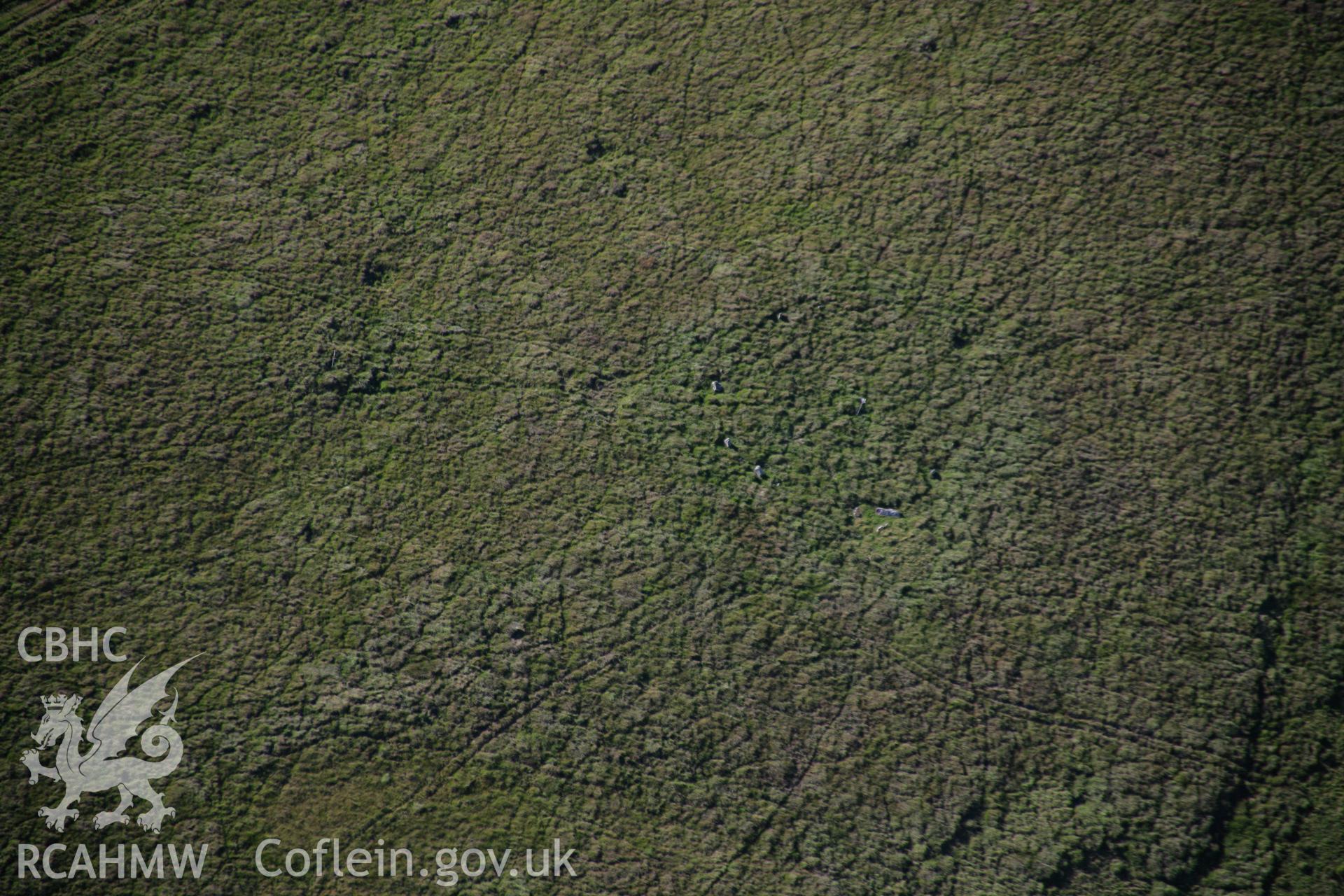 RCAHMW colour oblique aerial photograph of a stone circle west of Ynyshir. Taken on 08 August 2007 by Toby Driver