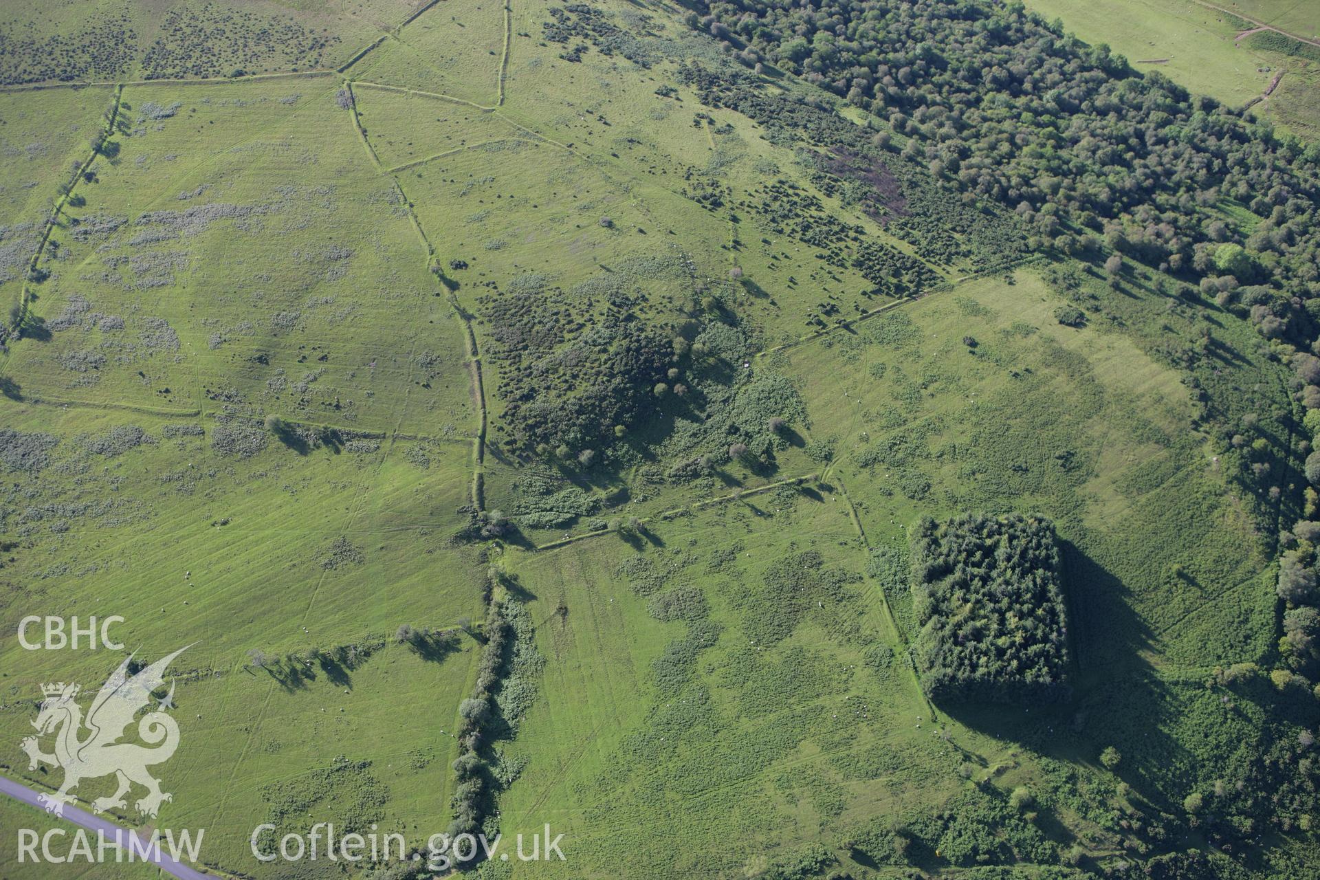 RCAHMW colour oblique aerial photograph of Ynys Hir South,Tir Cyd deserted rural settlement. Taken on 08 August 2007 by Toby Driver