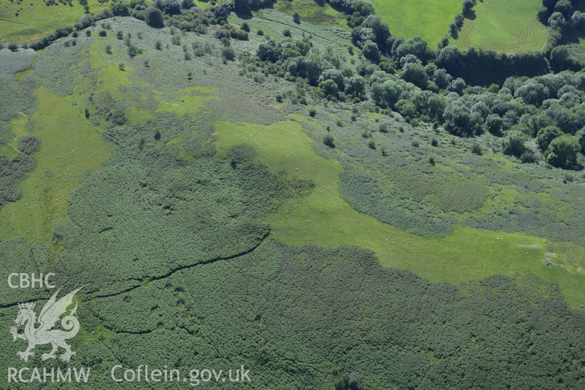 RCAHMW colour oblique aerial photograph of Cwmbrith Cairn. Taken on 08 August 2007 by Toby Driver