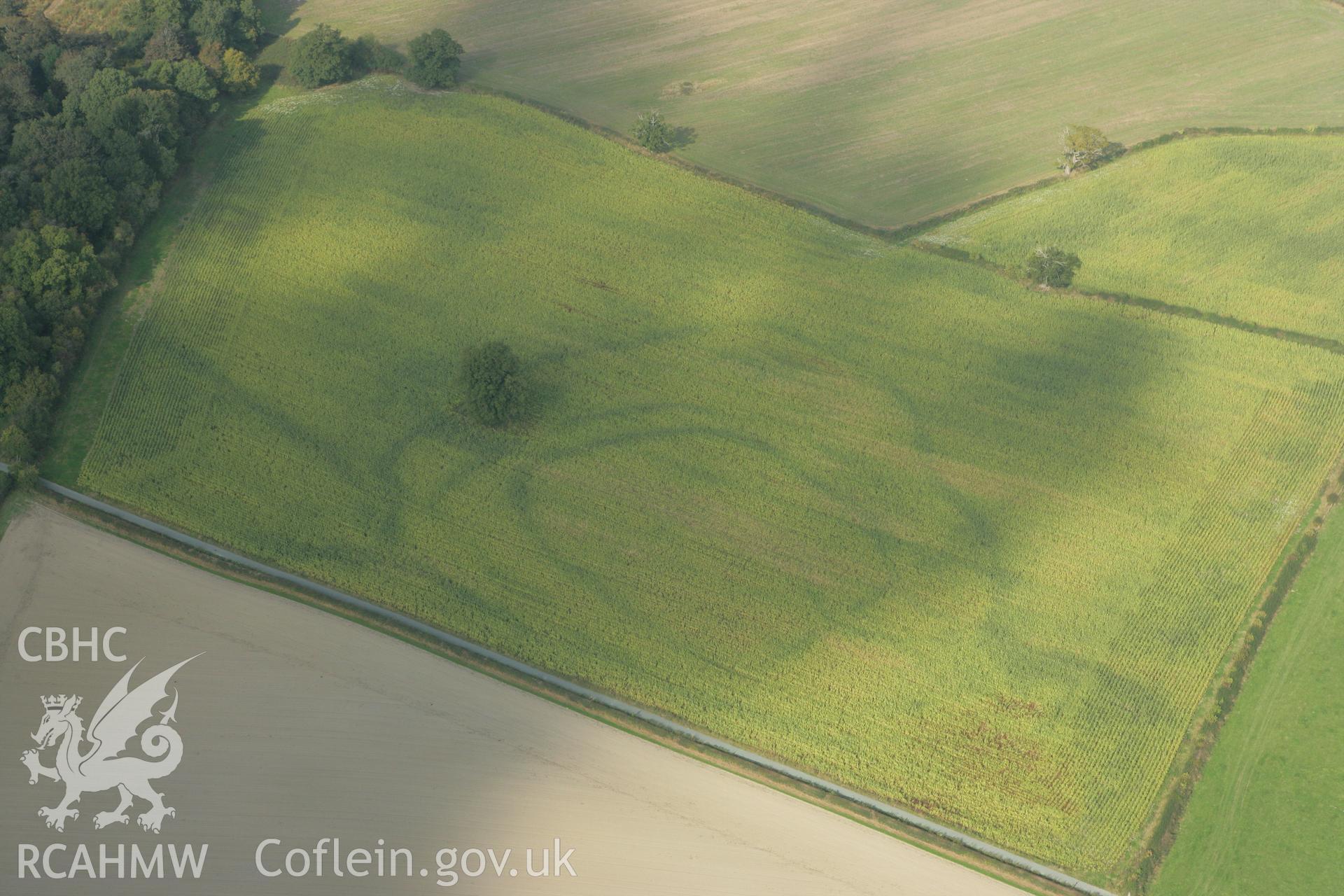 RCAHMW colour oblique photograph of Lymore Park, defended enclosure cropmark, in ENGLAND. Taken by Toby Driver on 08/10/2007.