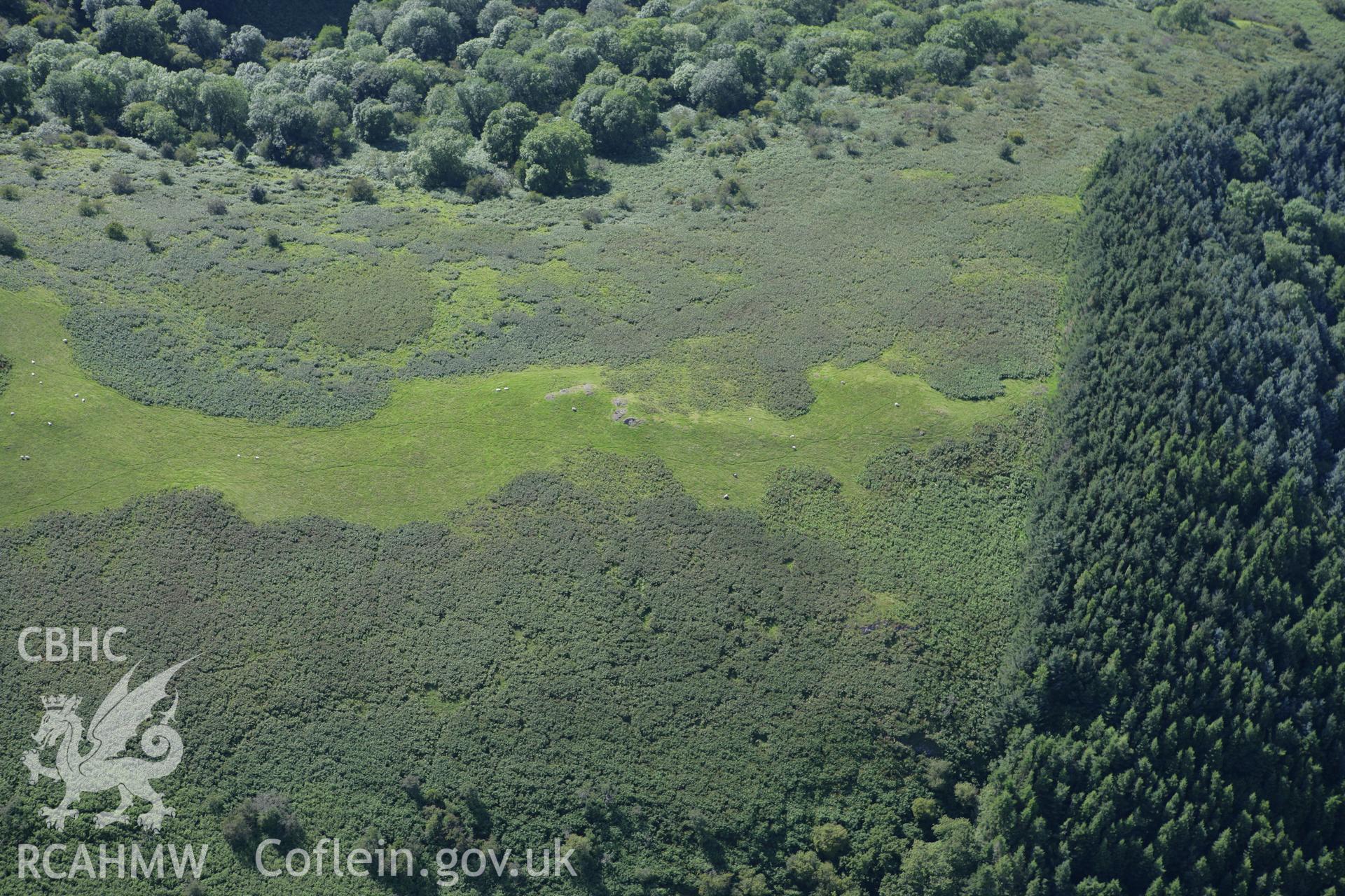 RCAHMW colour oblique aerial photograph of Cwmbrith Cairn. Taken on 08 August 2007 by Toby Driver