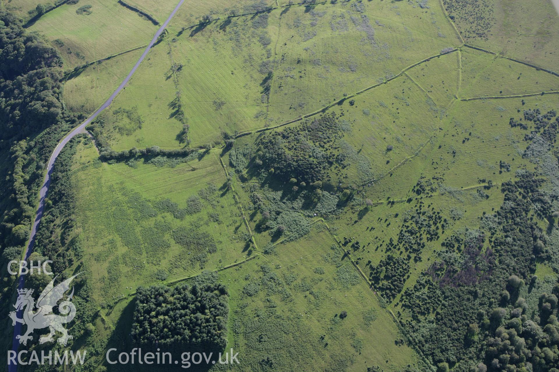 RCAHMW colour oblique aerial photograph of Ynys Hir South,Tir Cyd deserted rural settlement. Taken on 08 August 2007 by Toby Driver