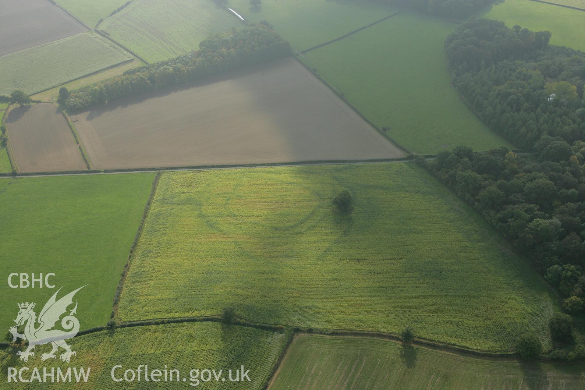 RCAHMW colour oblique photograph of Lymore Park, defended enclosure cropmark, in ENGLAND. Taken by Toby Driver on 08/10/2007.