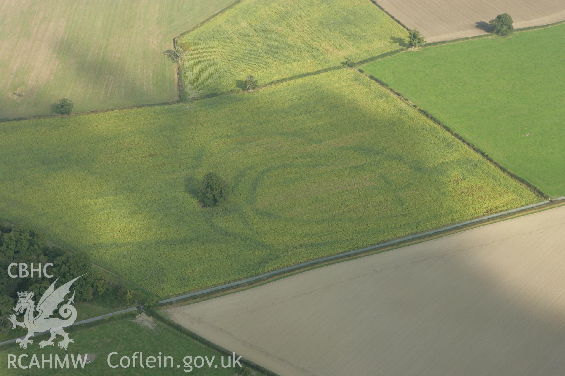 RCAHMW colour oblique photograph of Lymore Park, defended enclosure cropmark, in ENGLAND. Taken by Toby Driver on 08/10/2007.