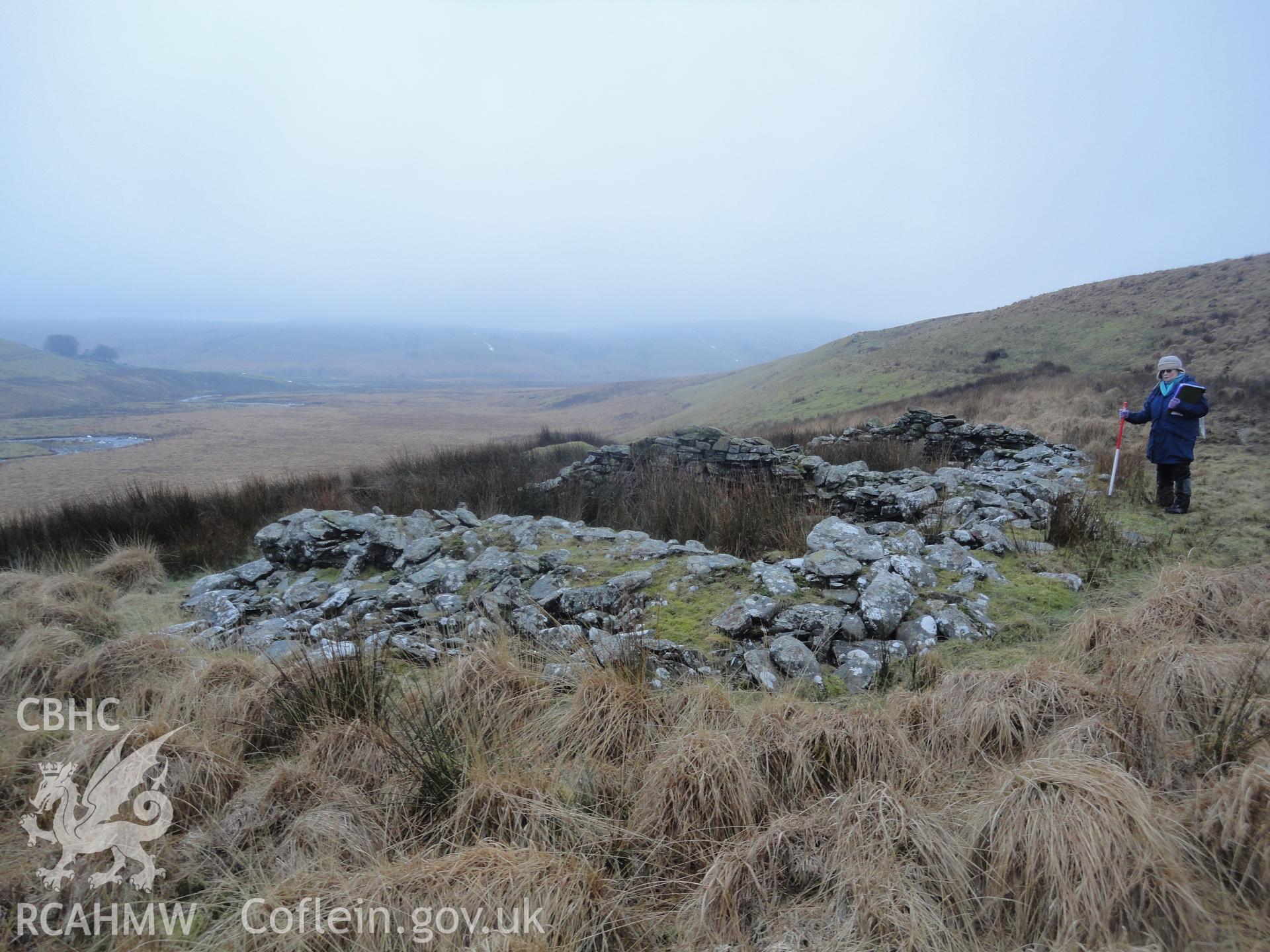 Cottage ruins, looking southwest