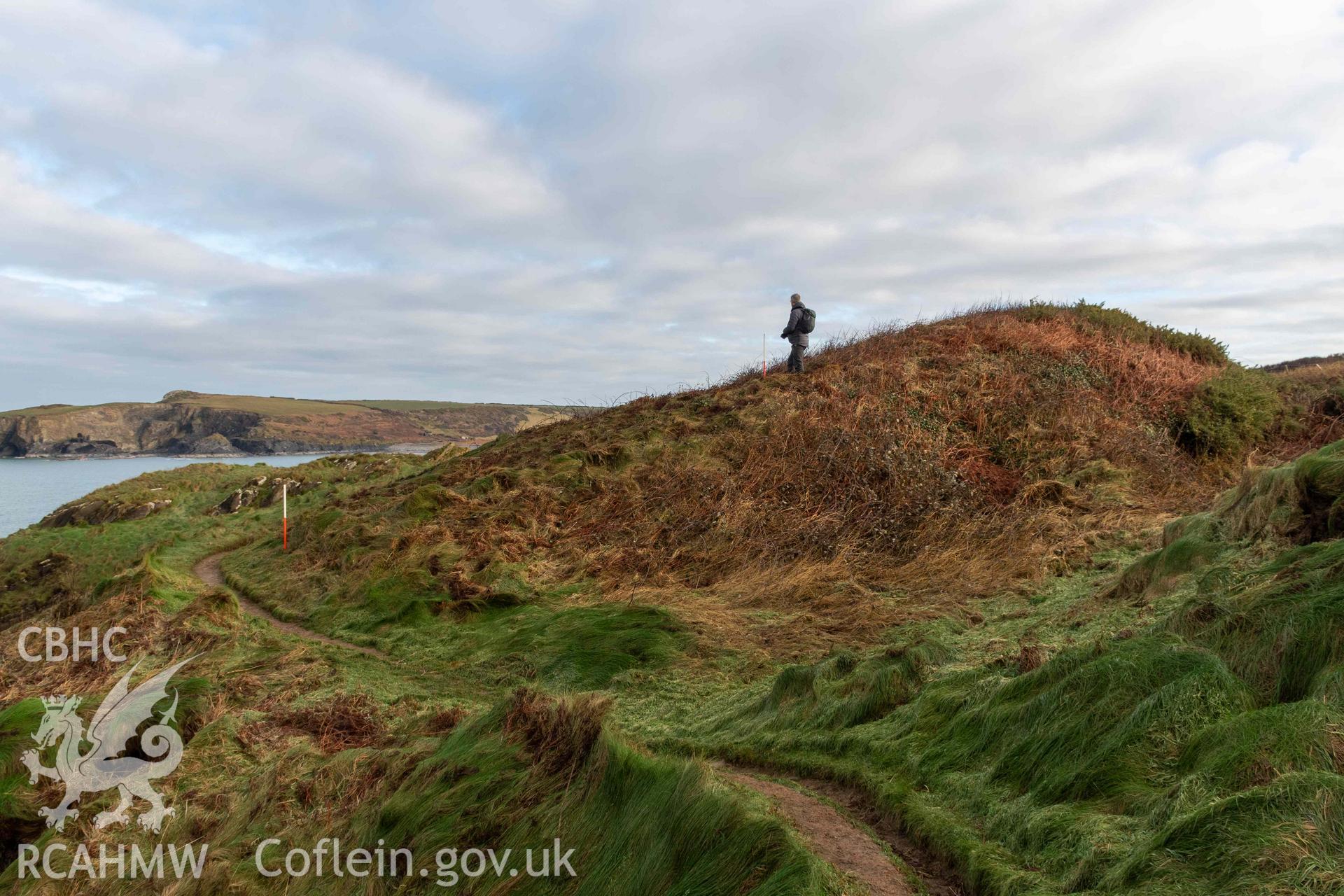 Little Aber Pwll coastal promontort fort. Western end of the substantial bank defining the fort's interior (with scale).