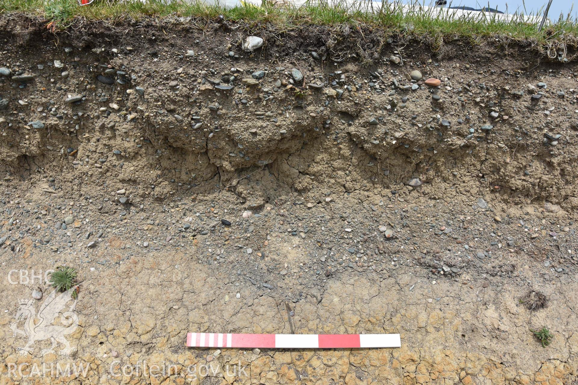 Archaeological feature initally recorded as Cremation 2018/2 in the Henllwyn eroding section