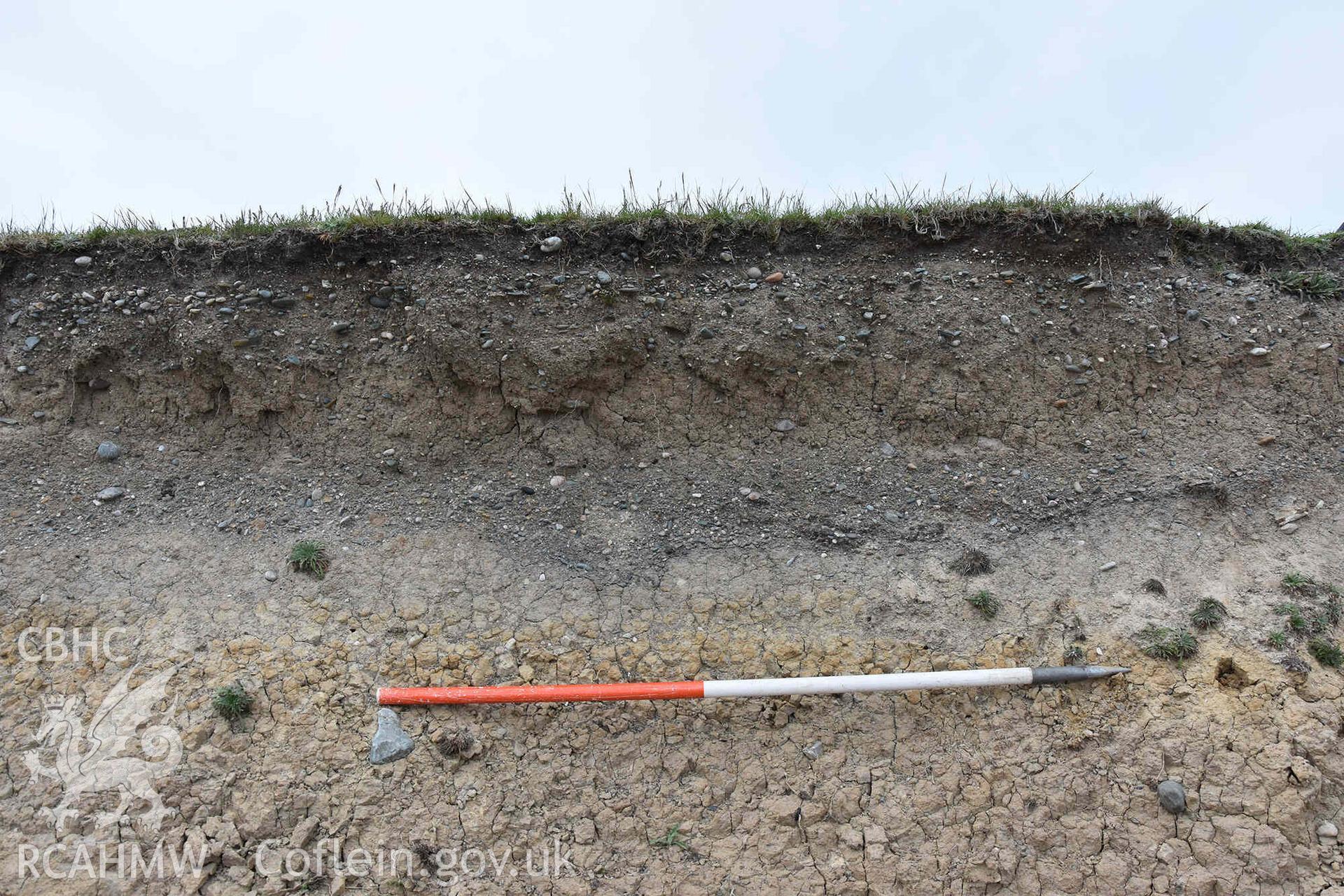 Archaeological feature initally recorded as Cremation 2018/2 in the Henllwyn eroding section