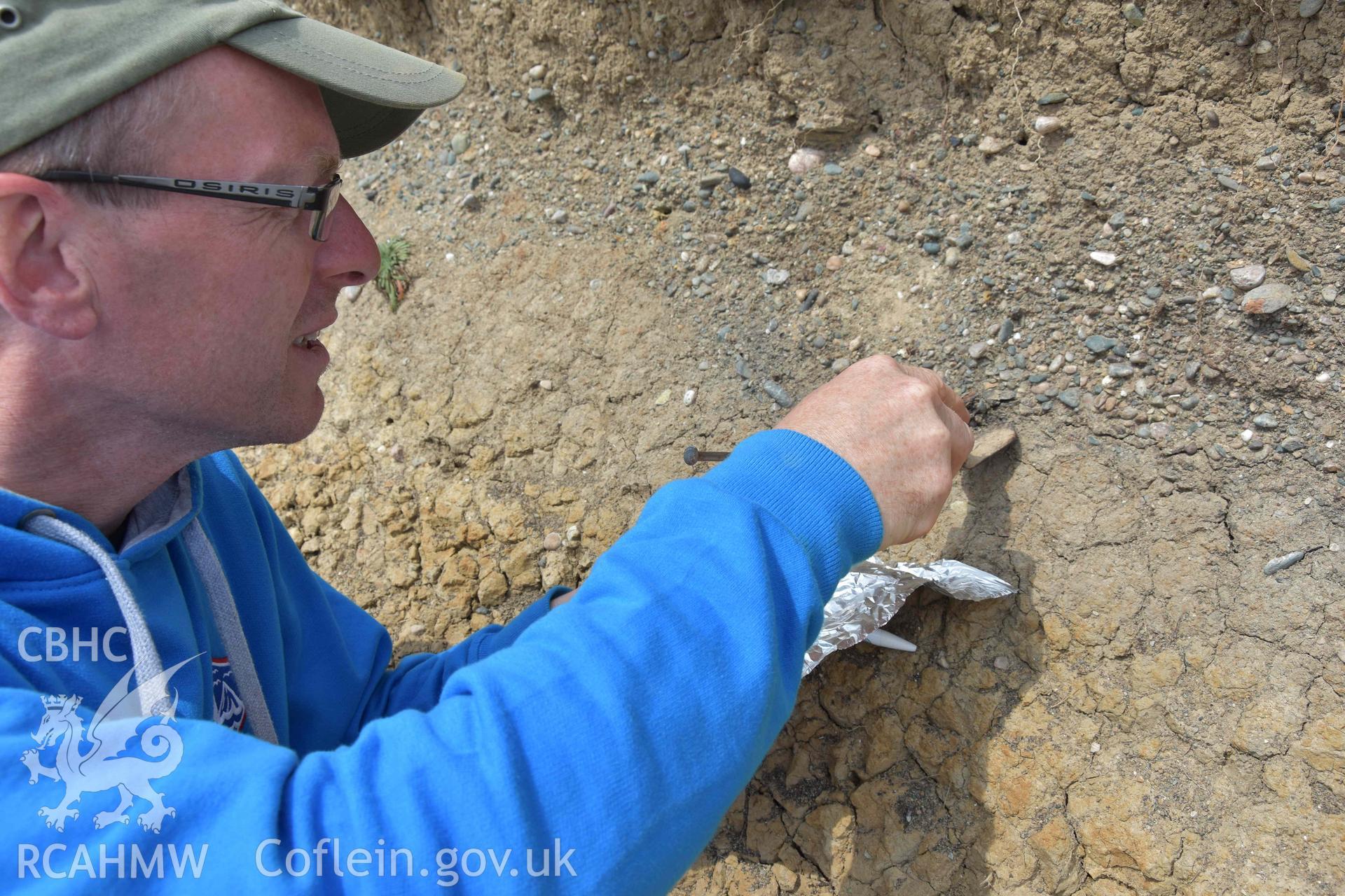 Sampling bone and charcoal from the Henllwyn eroding section by CHERISH in May 2018.