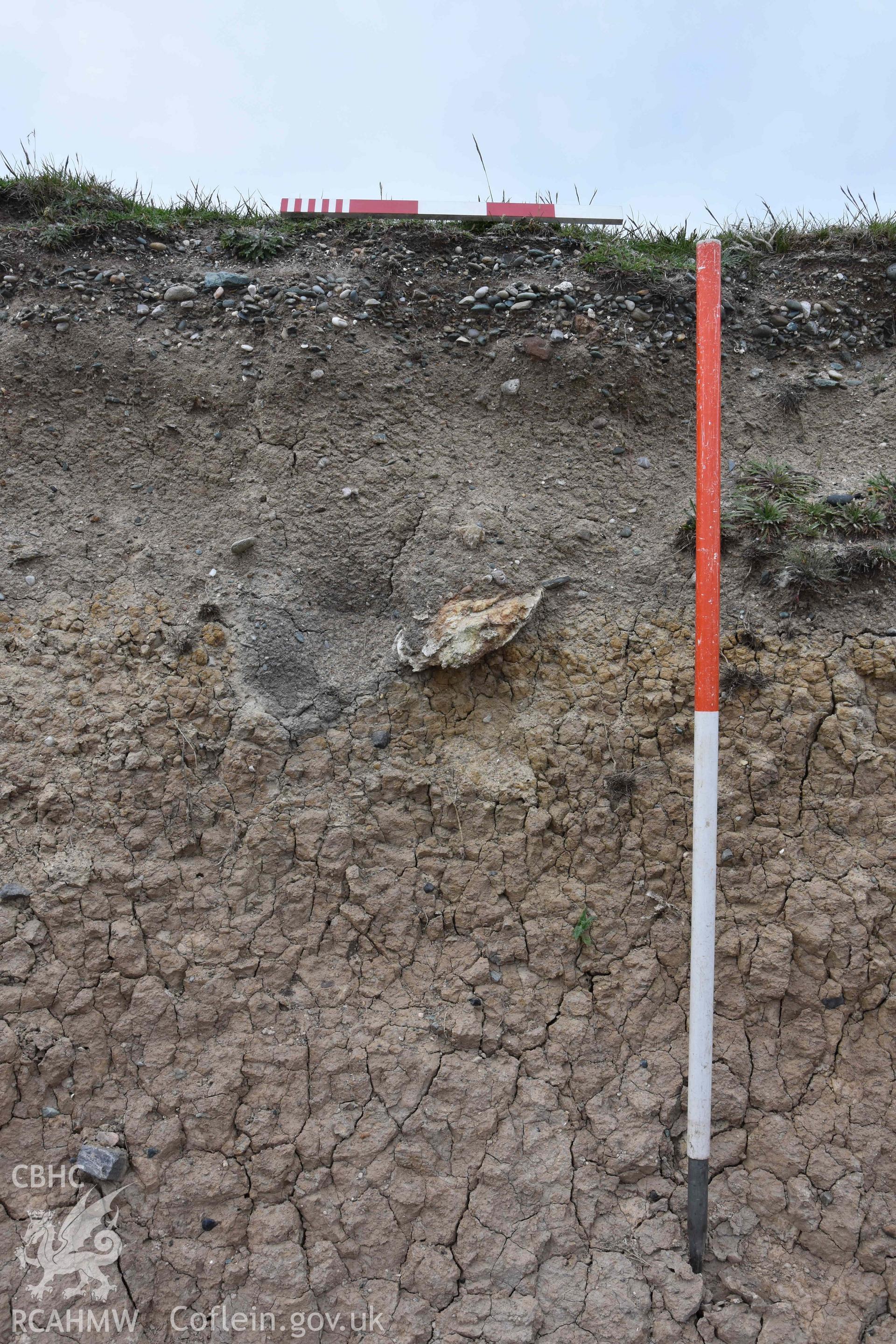 Archaeological feature initally recorded as Cremation 2018/1 in the Henllwyn eroding section